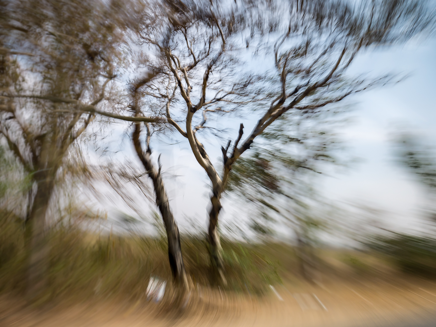 moving pictures-3.jpg