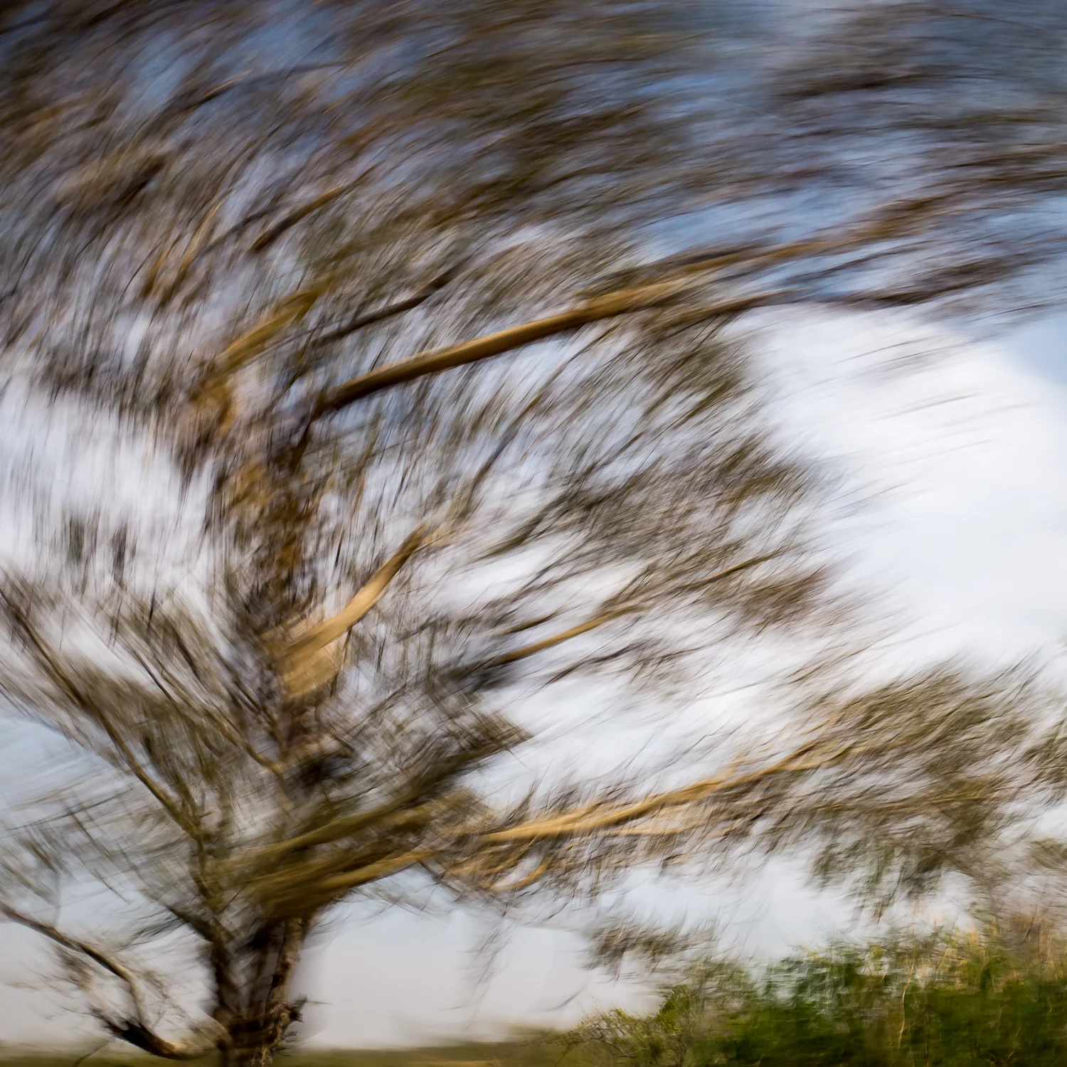 moving pictures-4.jpg