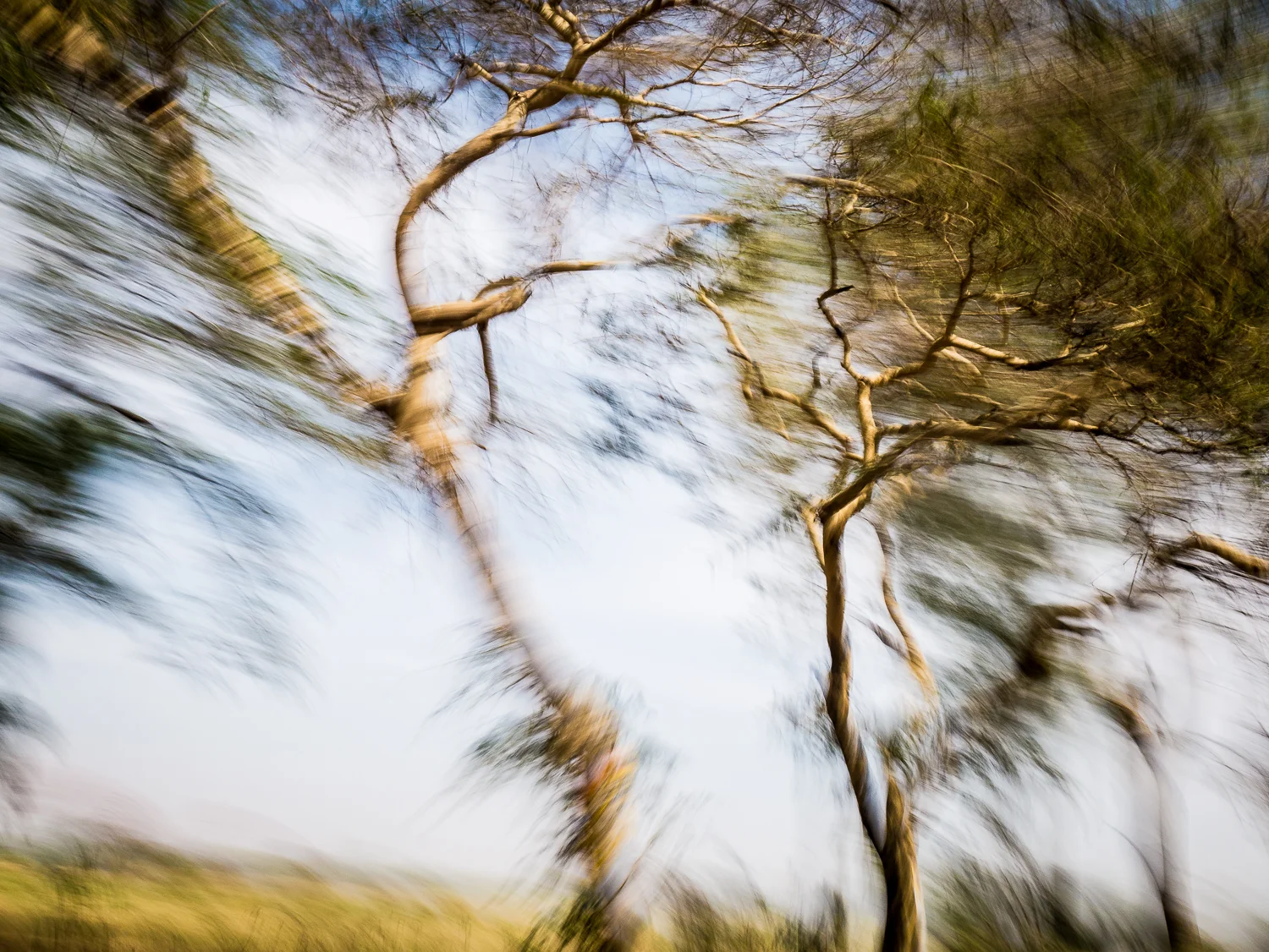 moving pictures-7.jpg