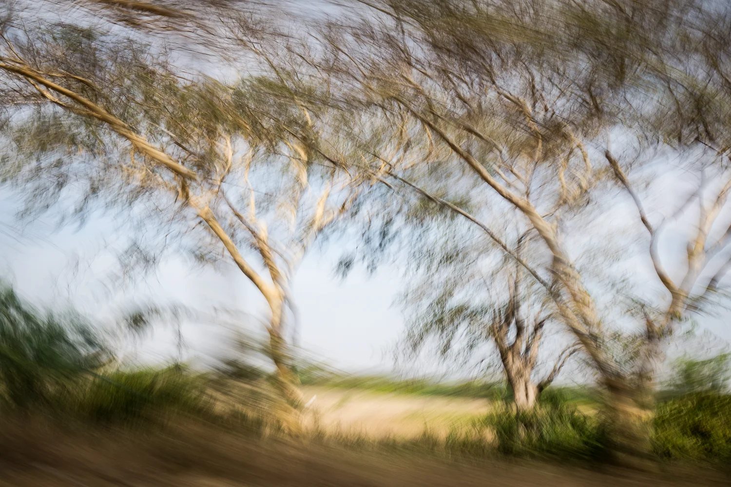 moving pictures-9.jpg