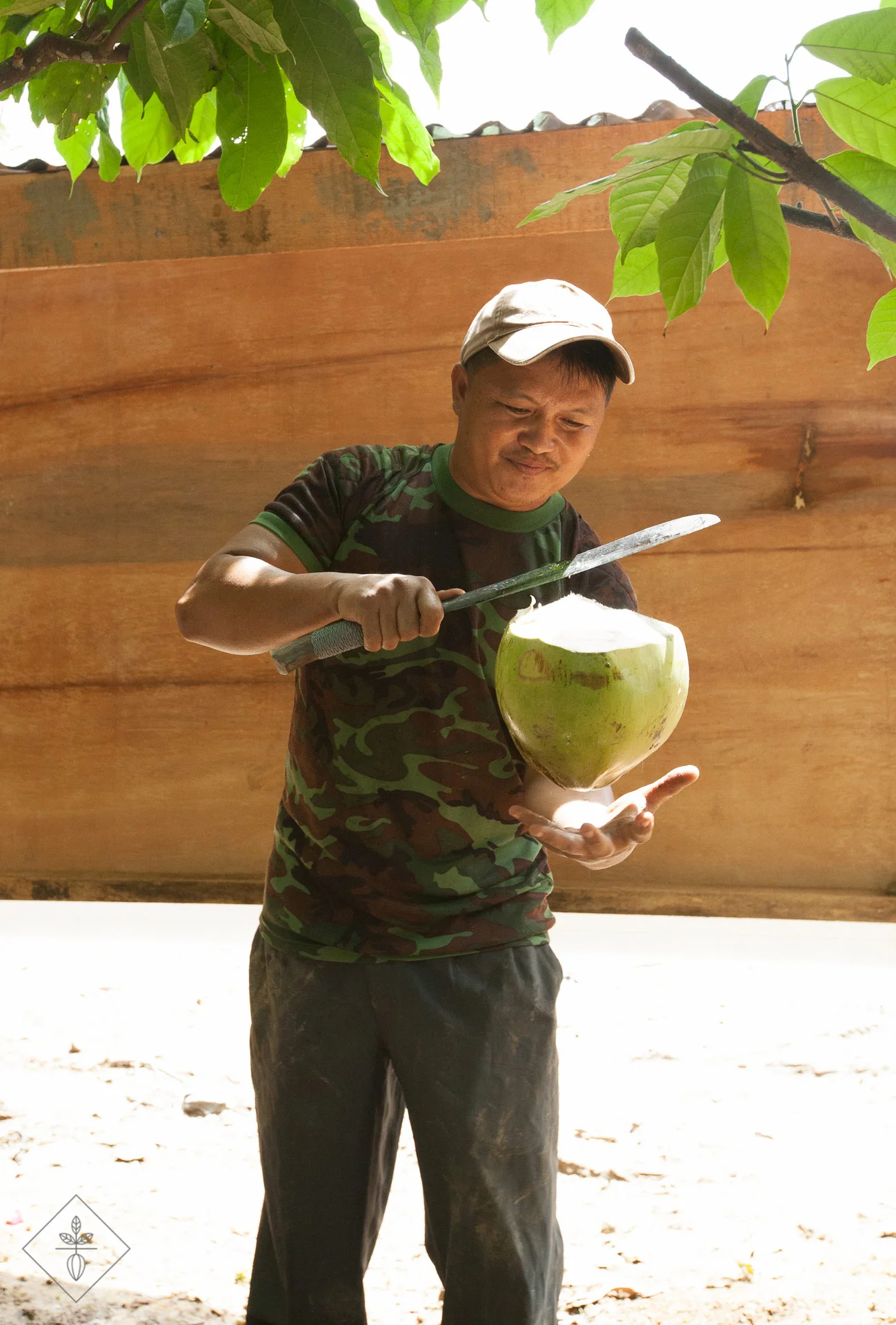 MCB-Ranau-mujin-coconut.jpg