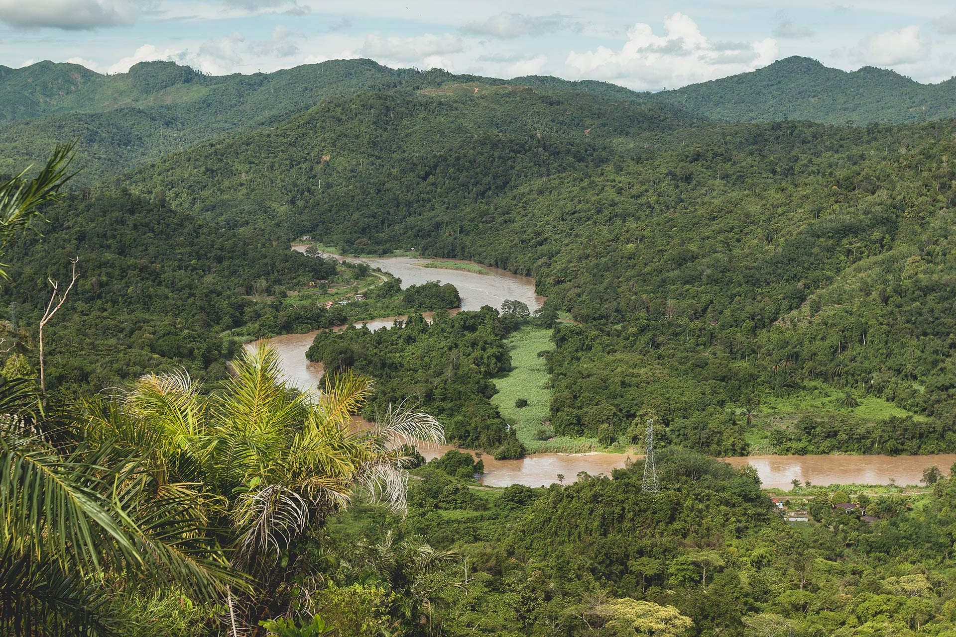 borneo-beau.jpg