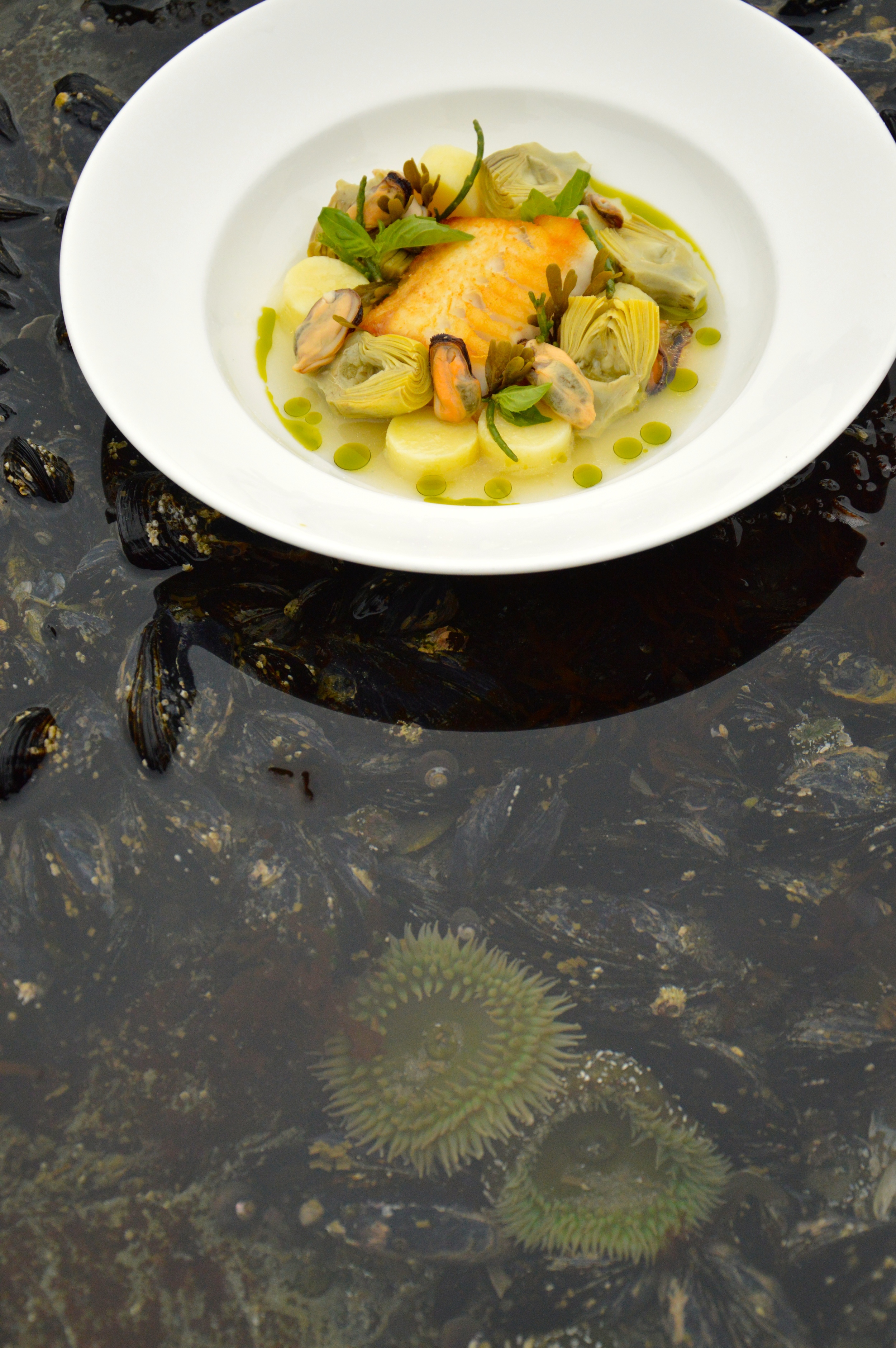 Pacific Sable Fish with Artichokes & Mussels