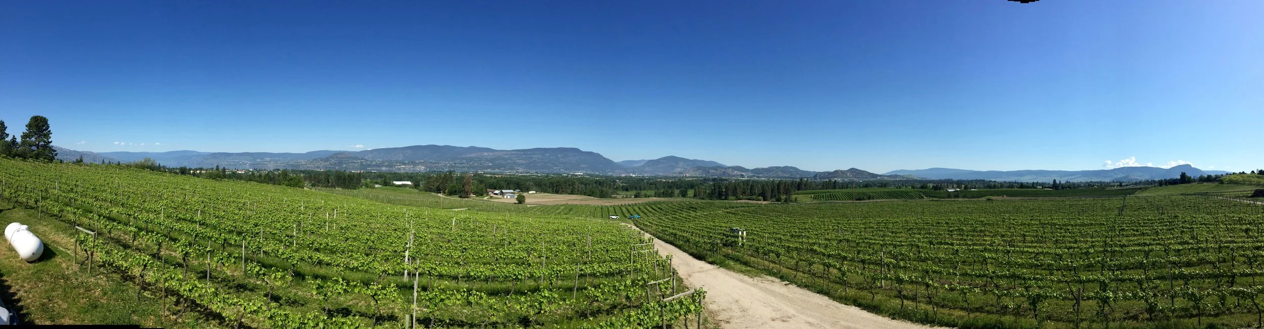 SperlingPANO.jpg