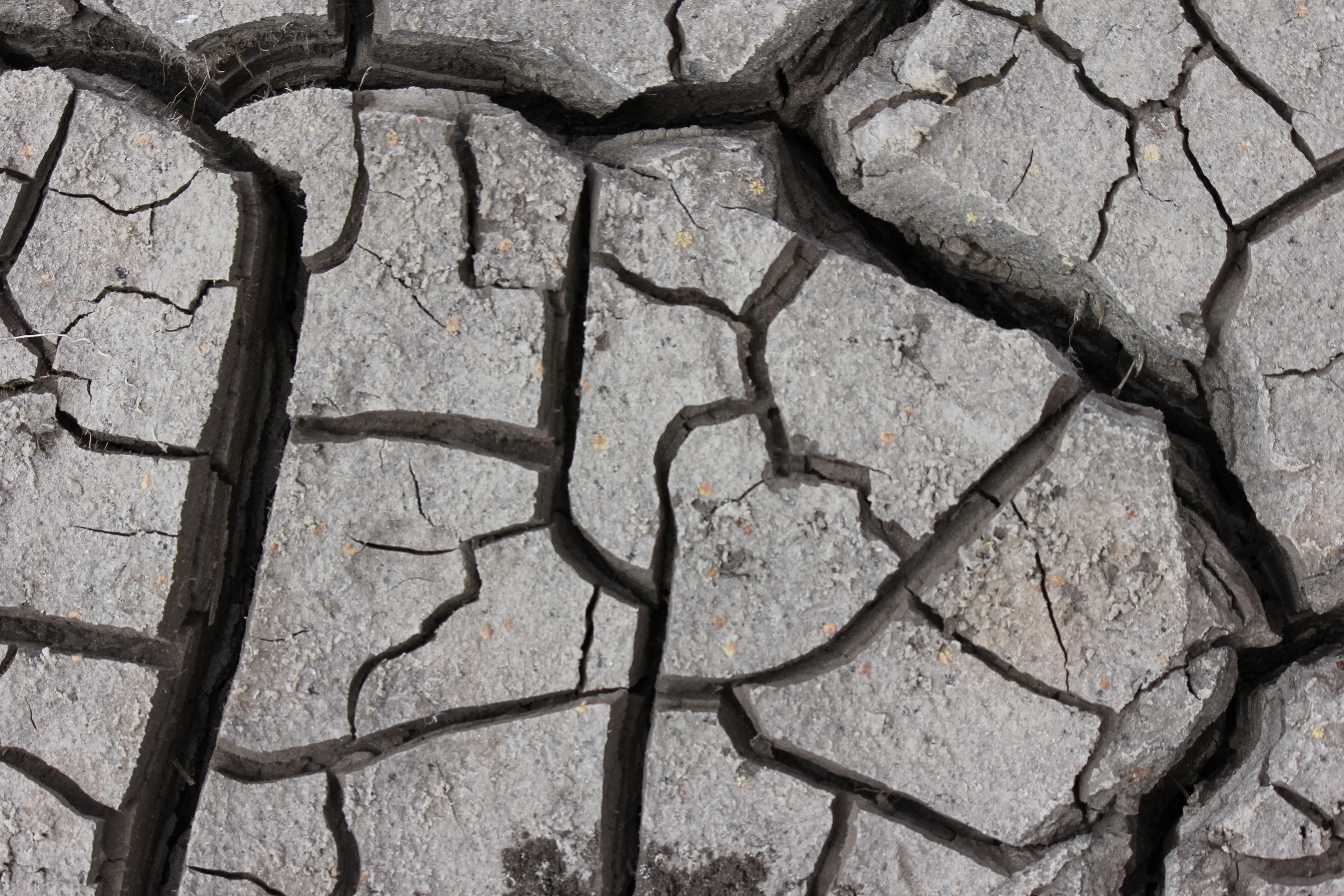 Cracked Clay, Tanzania
