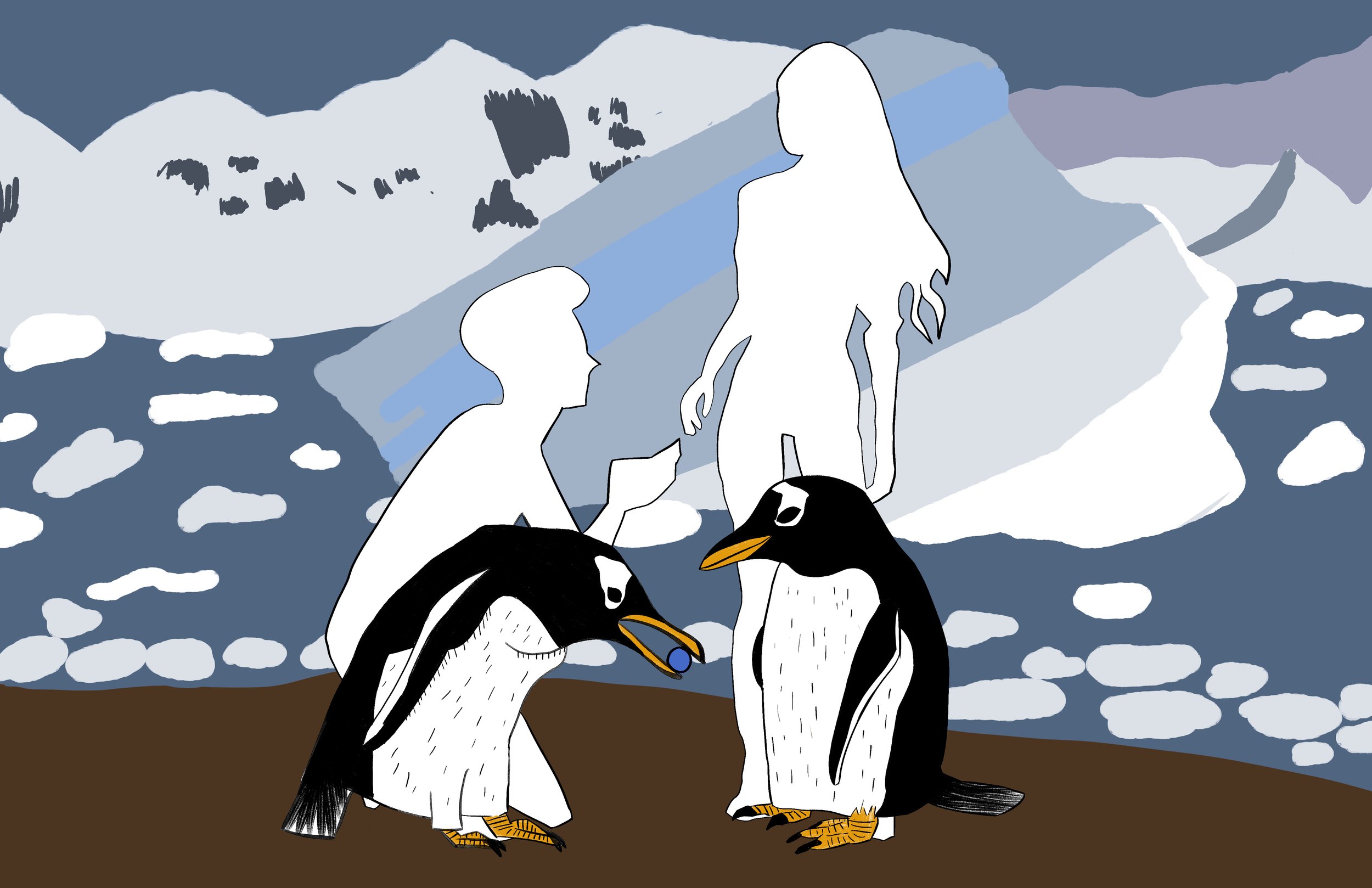 Marriage: Penguins and Humans Propose