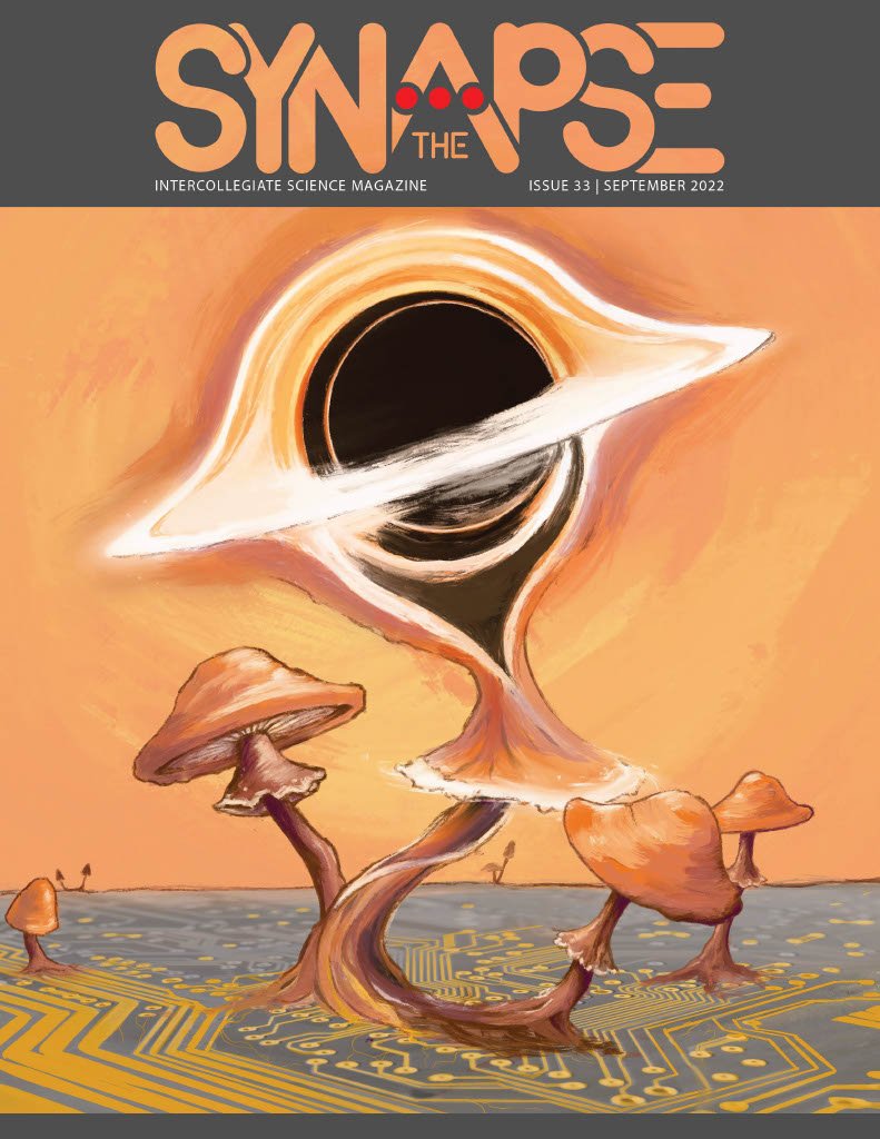 Issue 33 Cover
