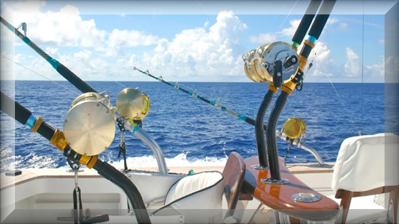 sea fishing