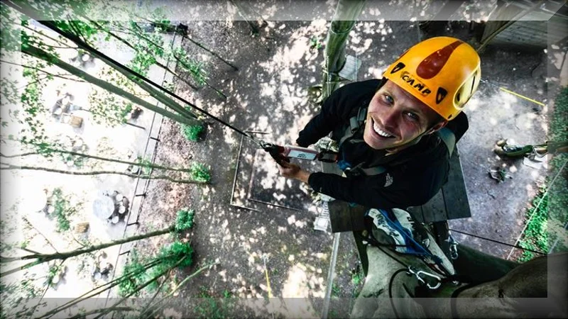tree top adventures