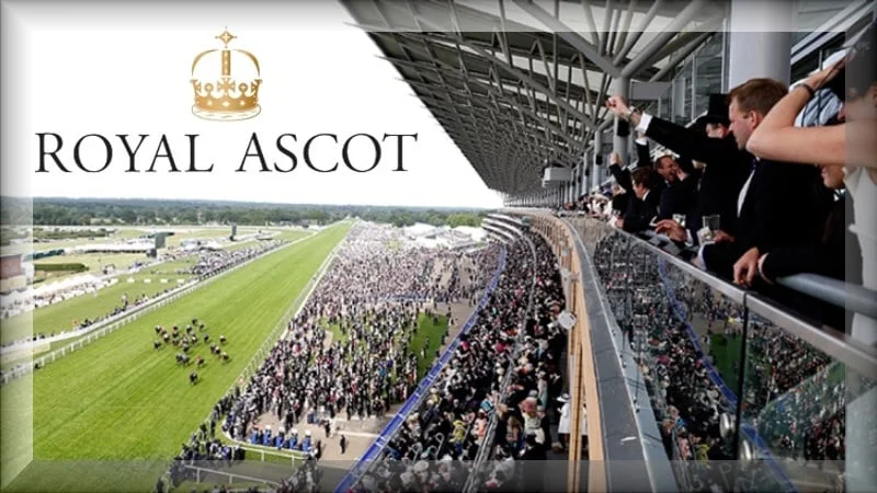 friday ascot.jpg