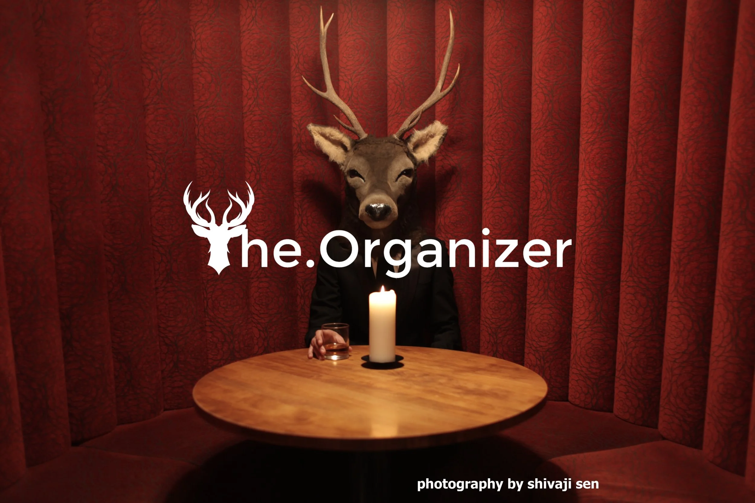TheOrganizer with logo.jpg