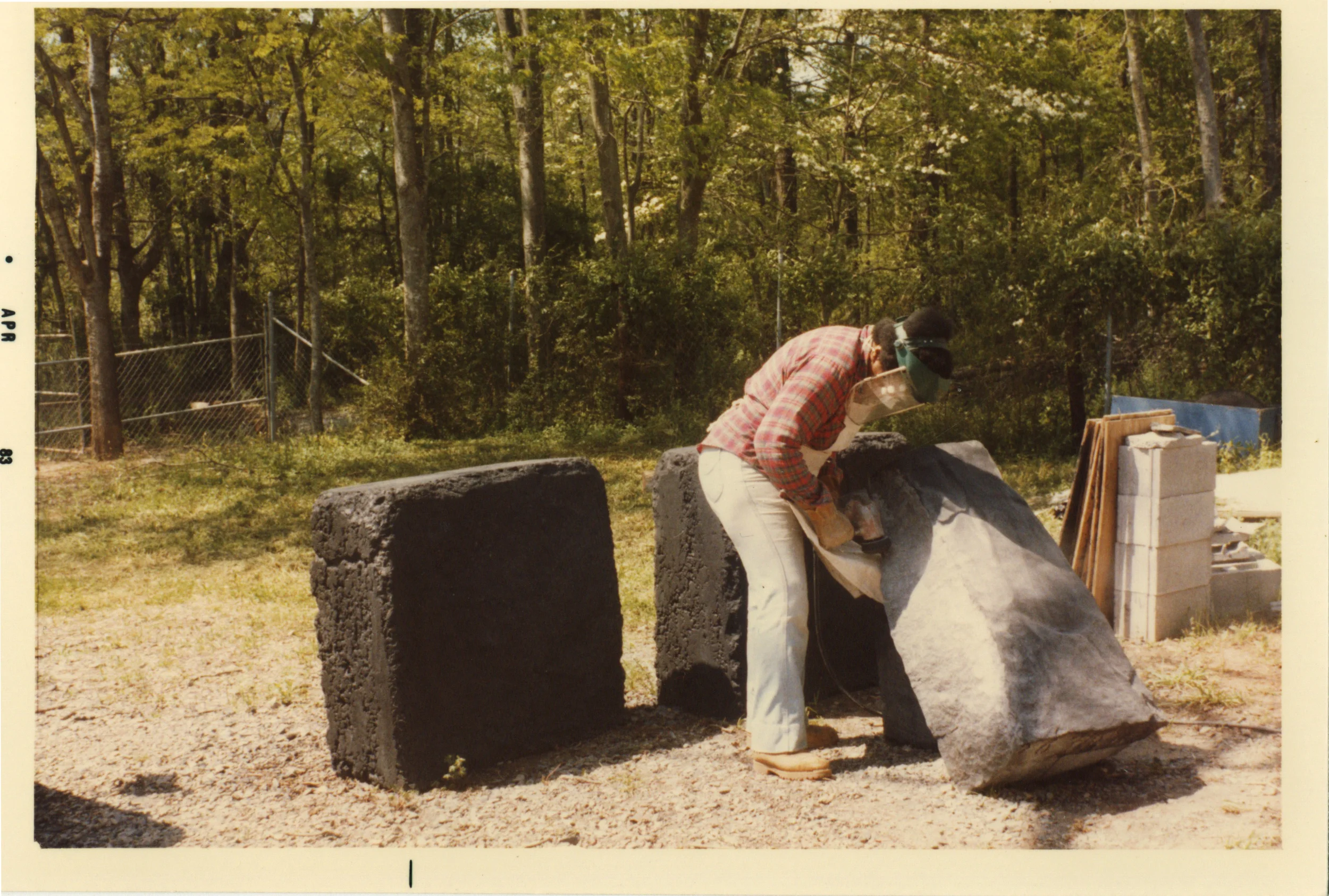 "We're Going to See Blood on Them Next": Beverly Buchanan's Georgia Ruins and Black Negativity