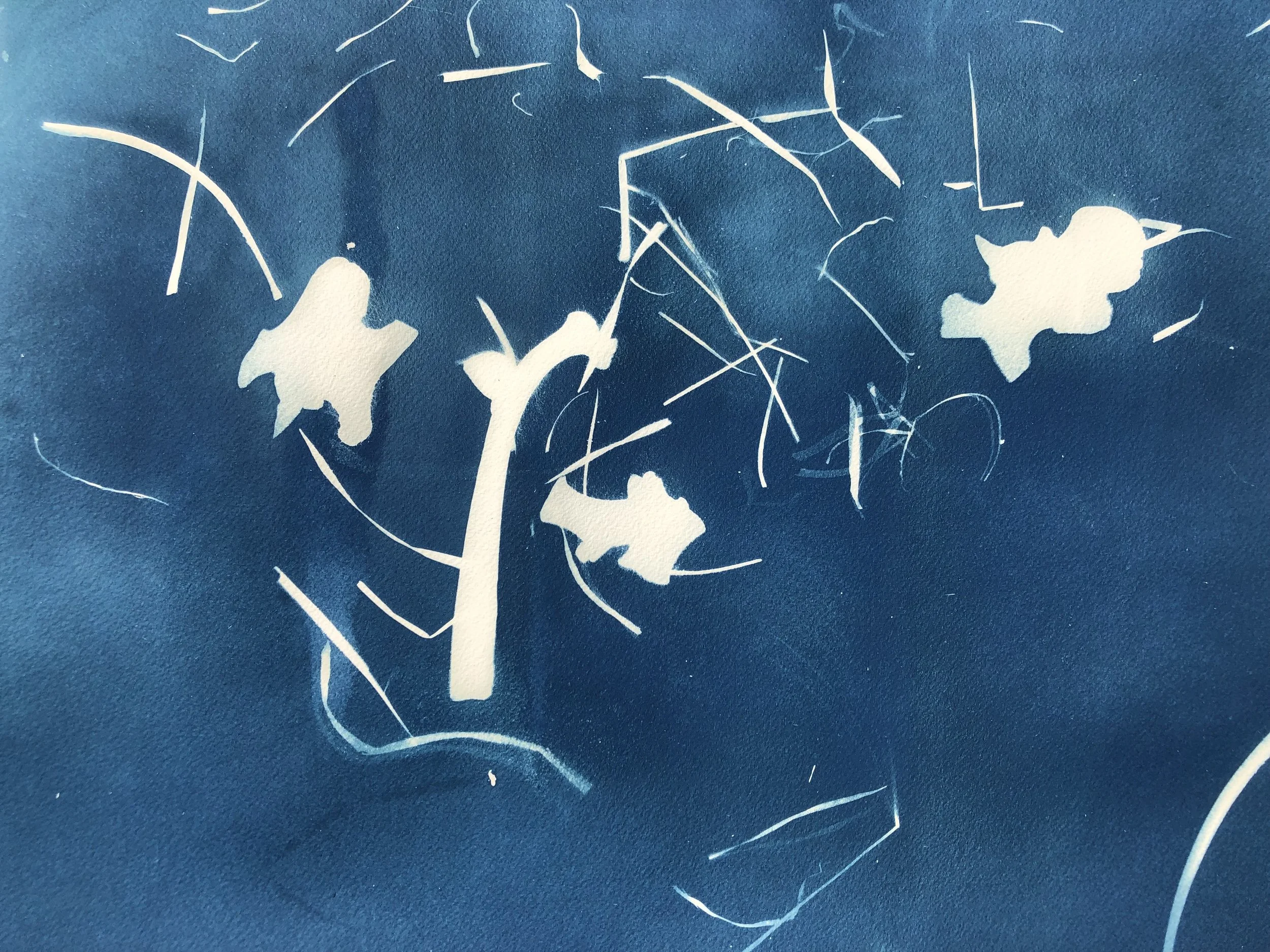 Vertebrae, Rib (August 23).jpeg