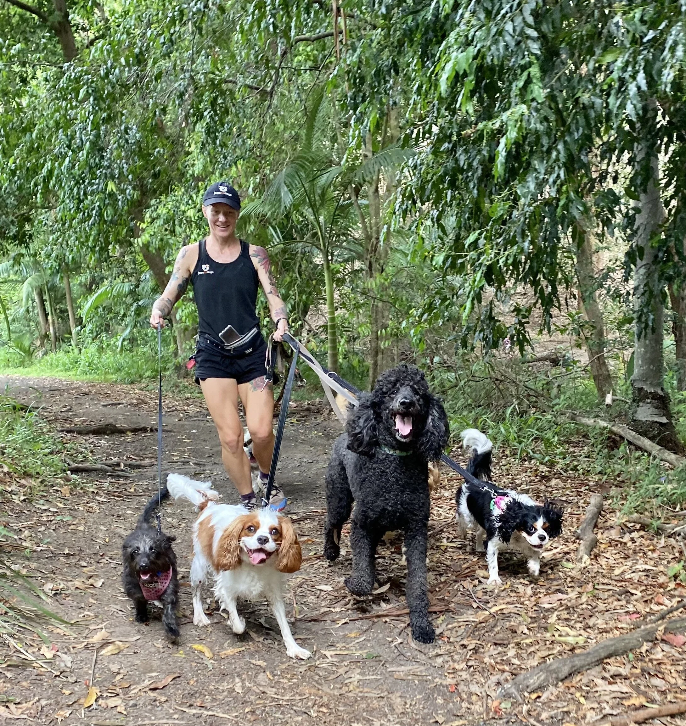 Forest Dog Friendly Trail Near Me Walking Trails Best Walks With