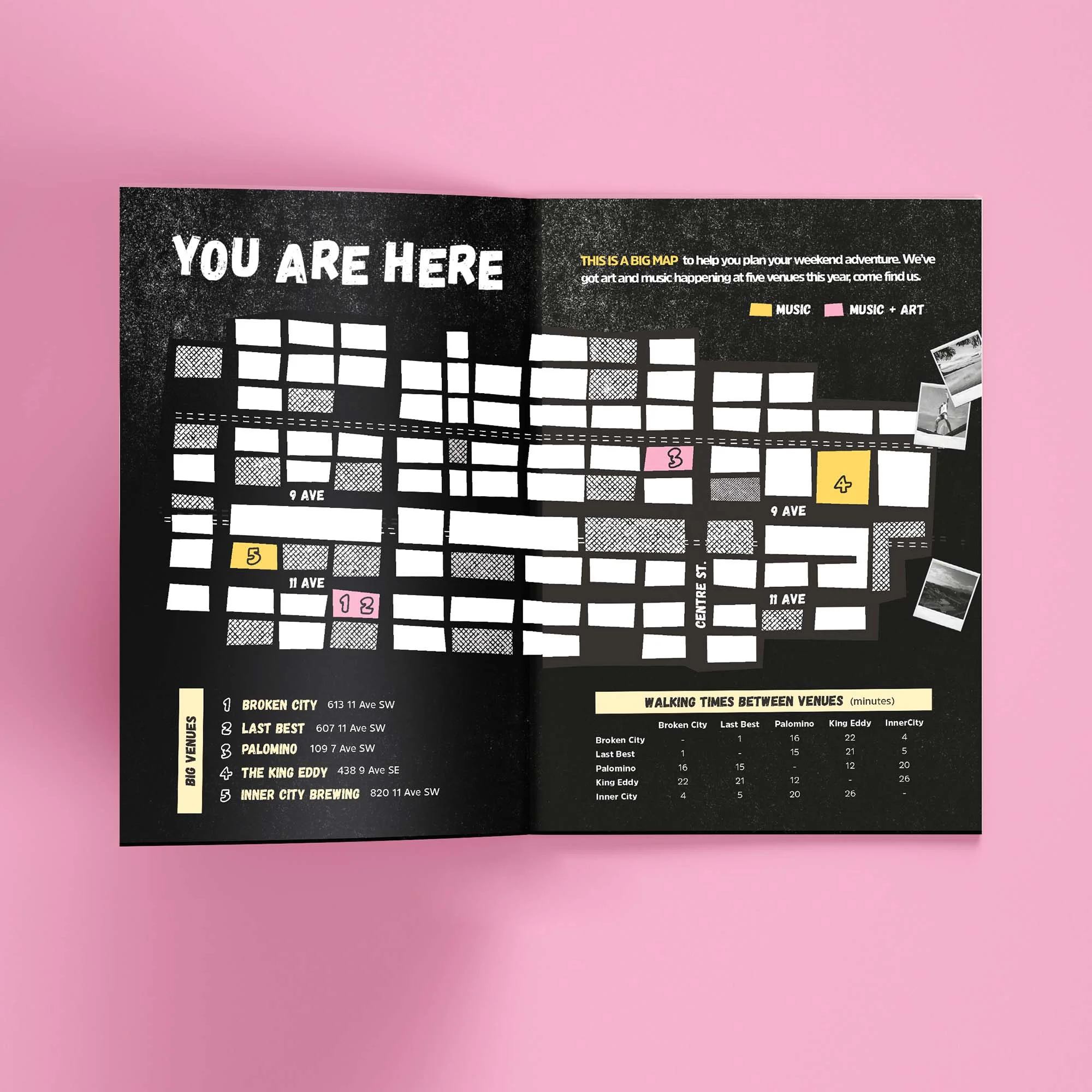 HAWK_2019BIG MAP pink.jpg