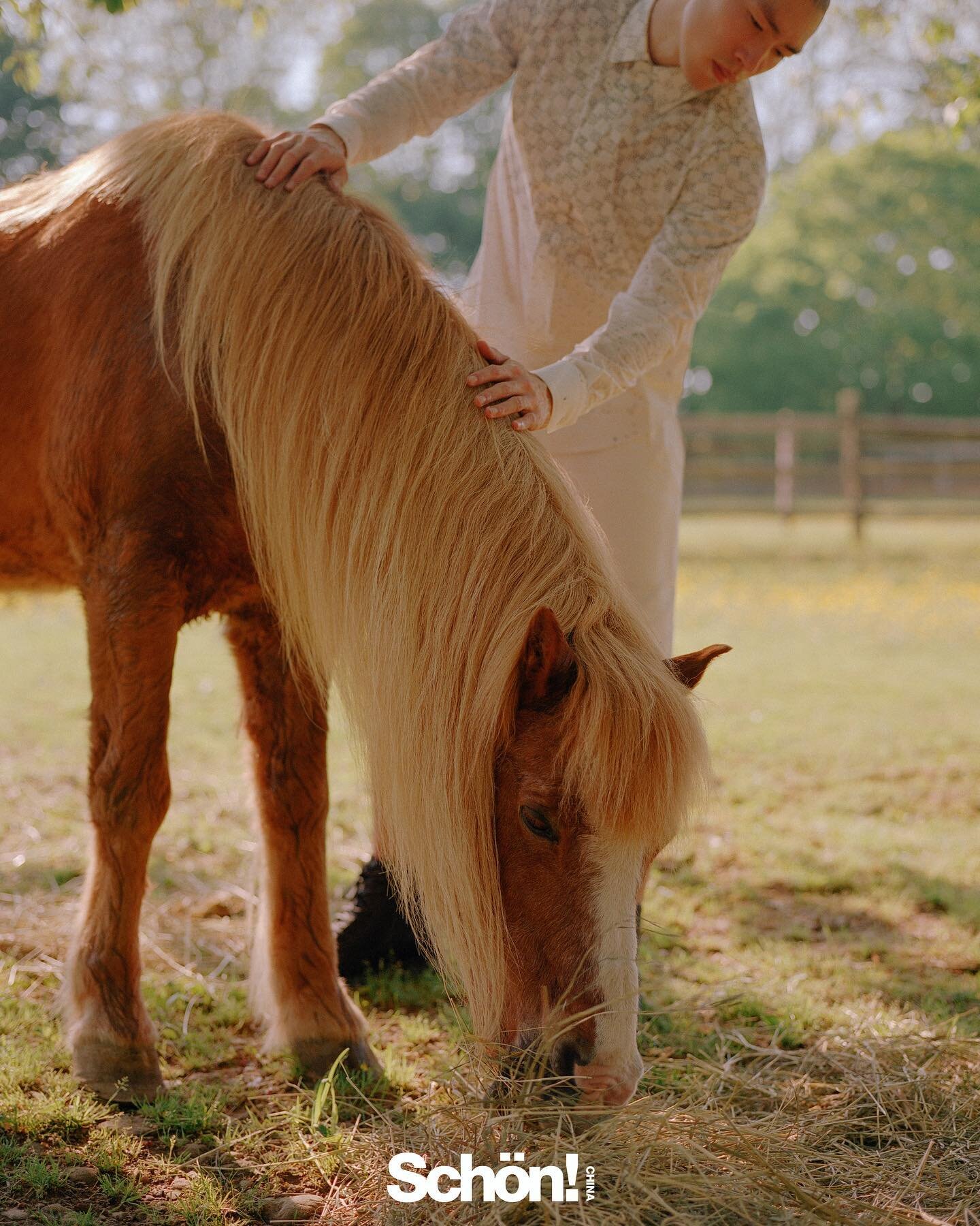 Last summer @farawayfarmalpacas
Model @kennyyuofficial @newyorkmodels
Styling @angelinascantlebury
for @schonmagazinechina
🎞️ @bleekerdigital
#mensfashion #menswear #menstylefashion #menstyles #menstyling #mensclothes #fashioneditorials #horses