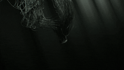 IWC_ceramics_woodland_4+(2).gif