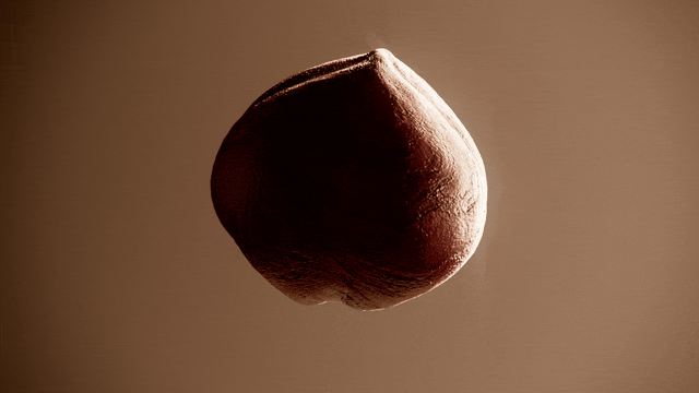 Bueno_clip_hazelnut.gif