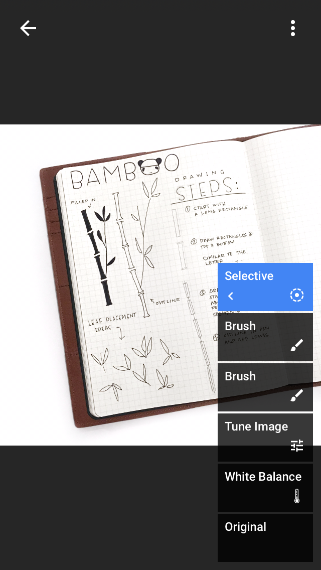 6. Increase Selective Brightness & Saturation