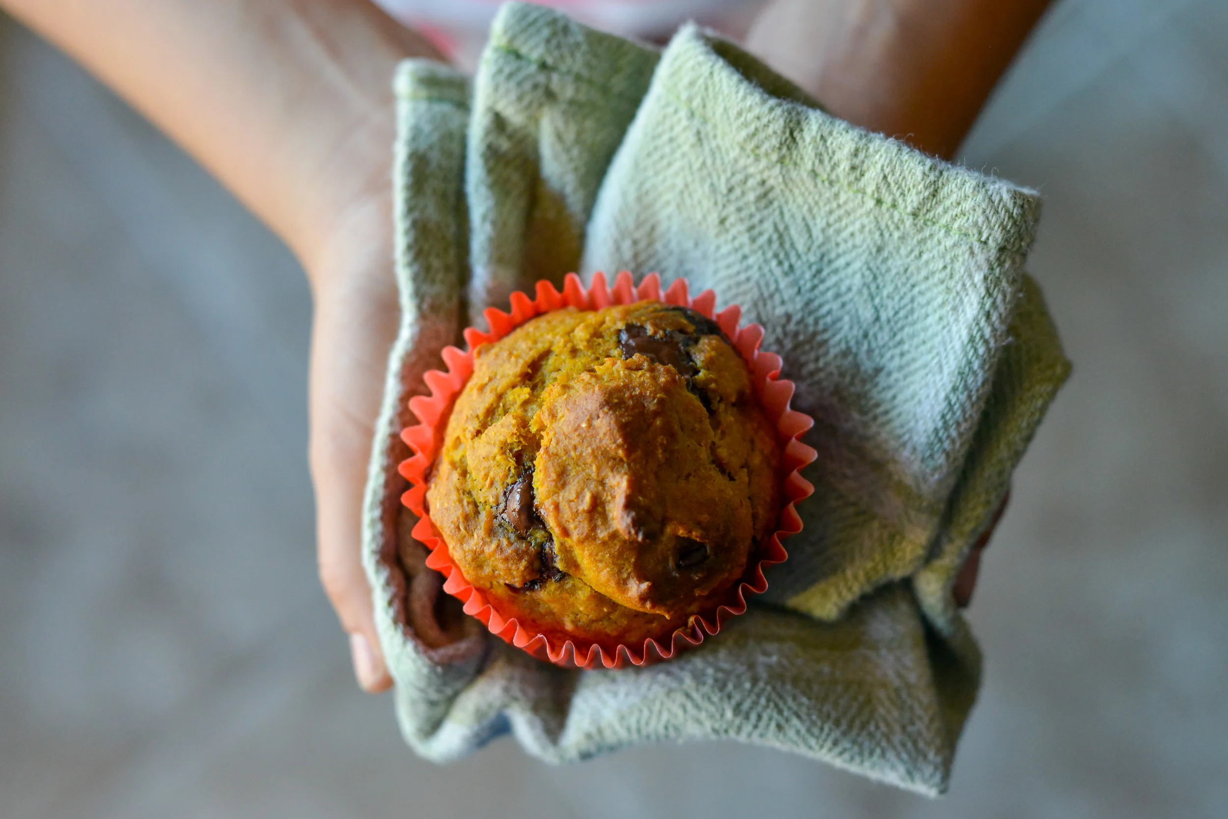 Dark Chocolate Pumpkin Muffins