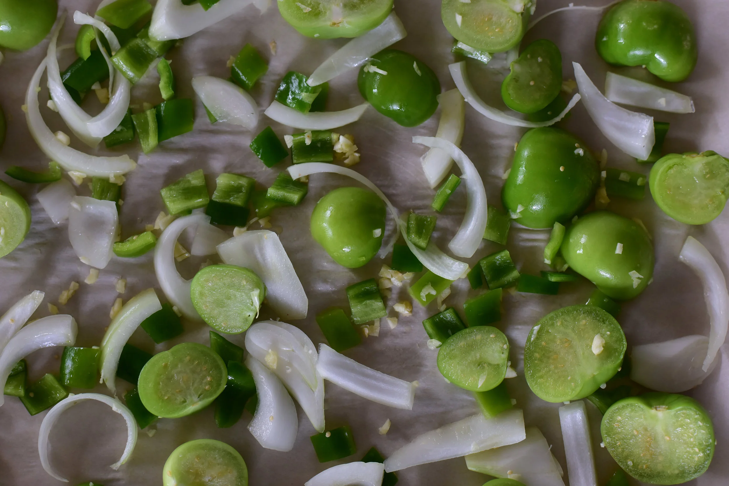 Tomatillos, onions, garlic, and chile ready for roasting!