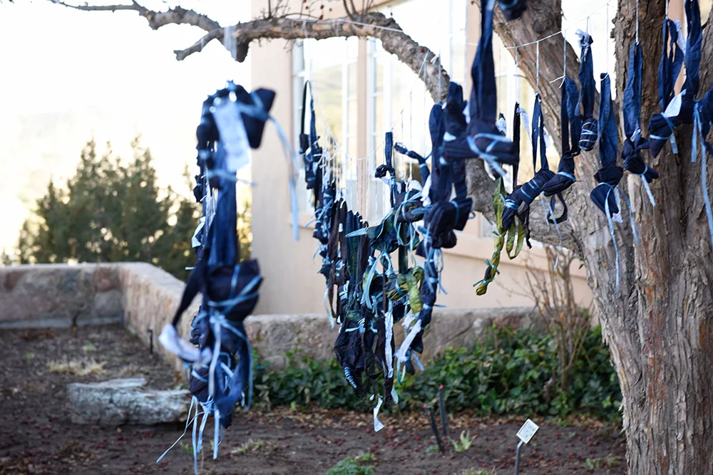 SaroCalewarts_MDS17_Indigo_01-web.jpg