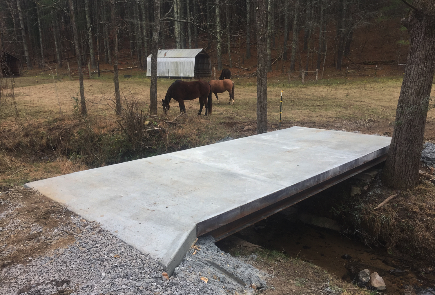 Horse Bridges complete2.jpg