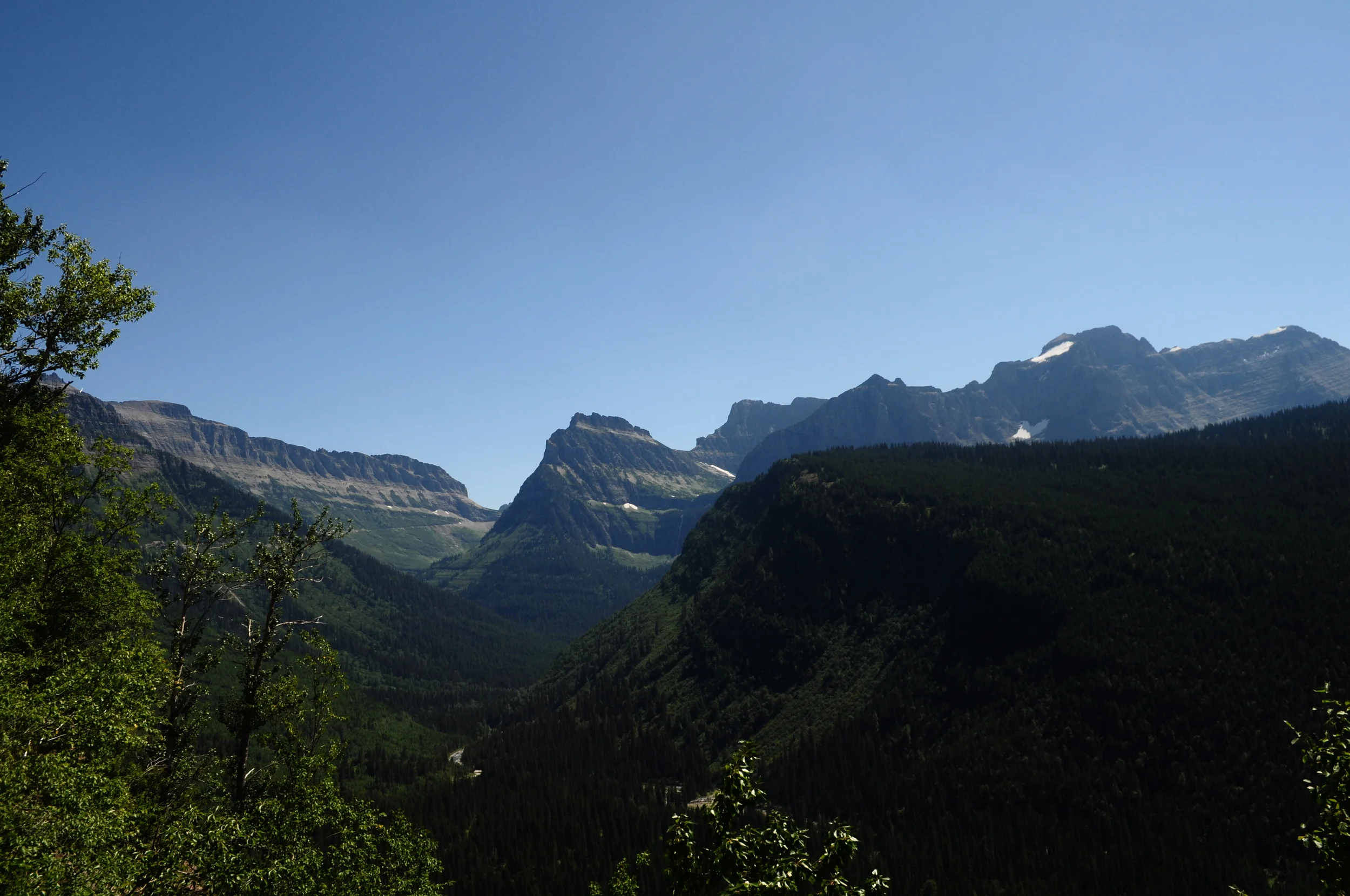 DSC_0017 4.JPG