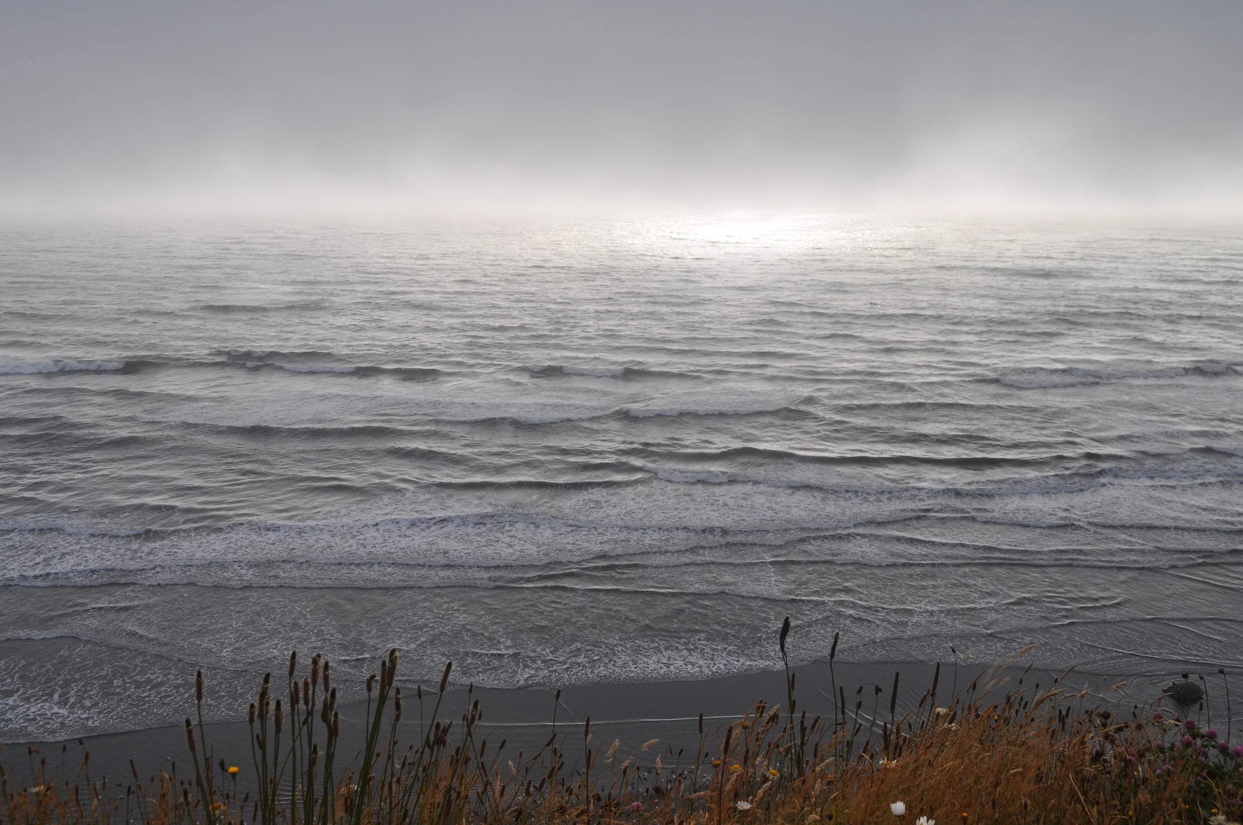 DSC_0676.JPG