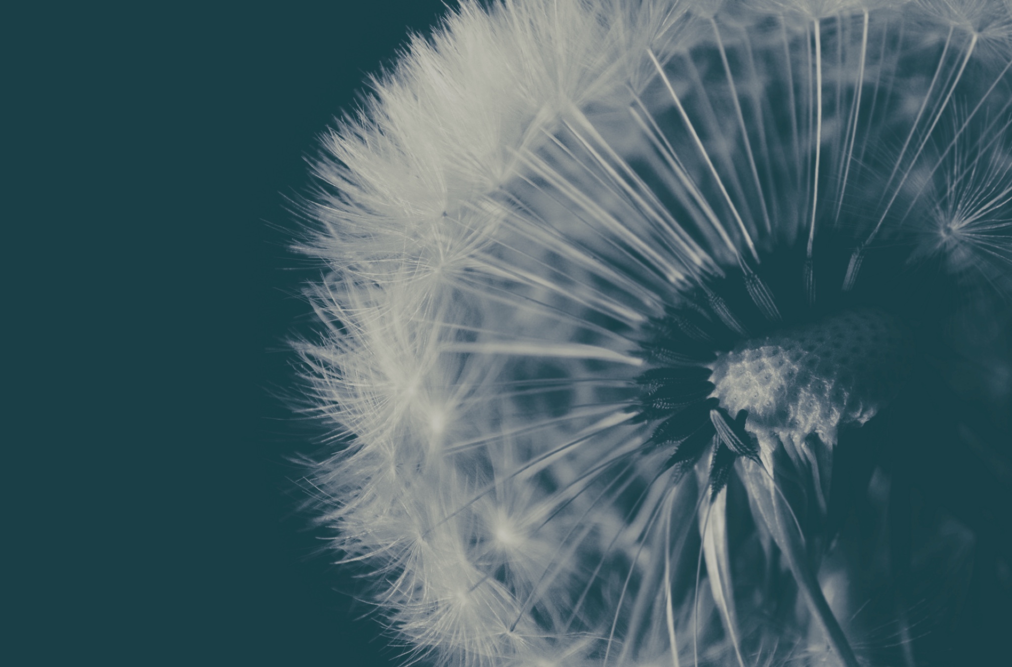 Our Healthiest Request