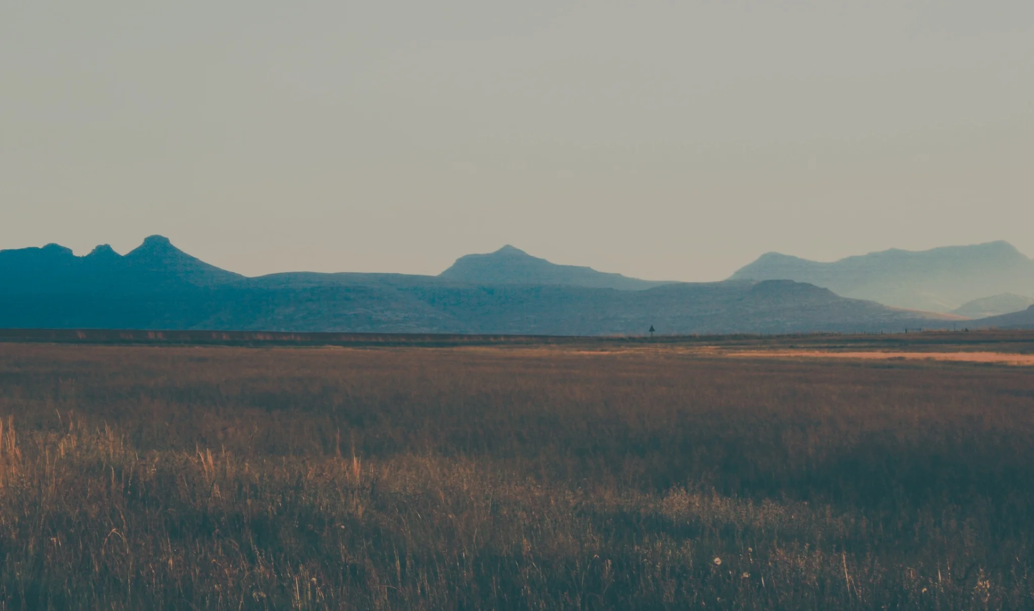 The One That Came Back