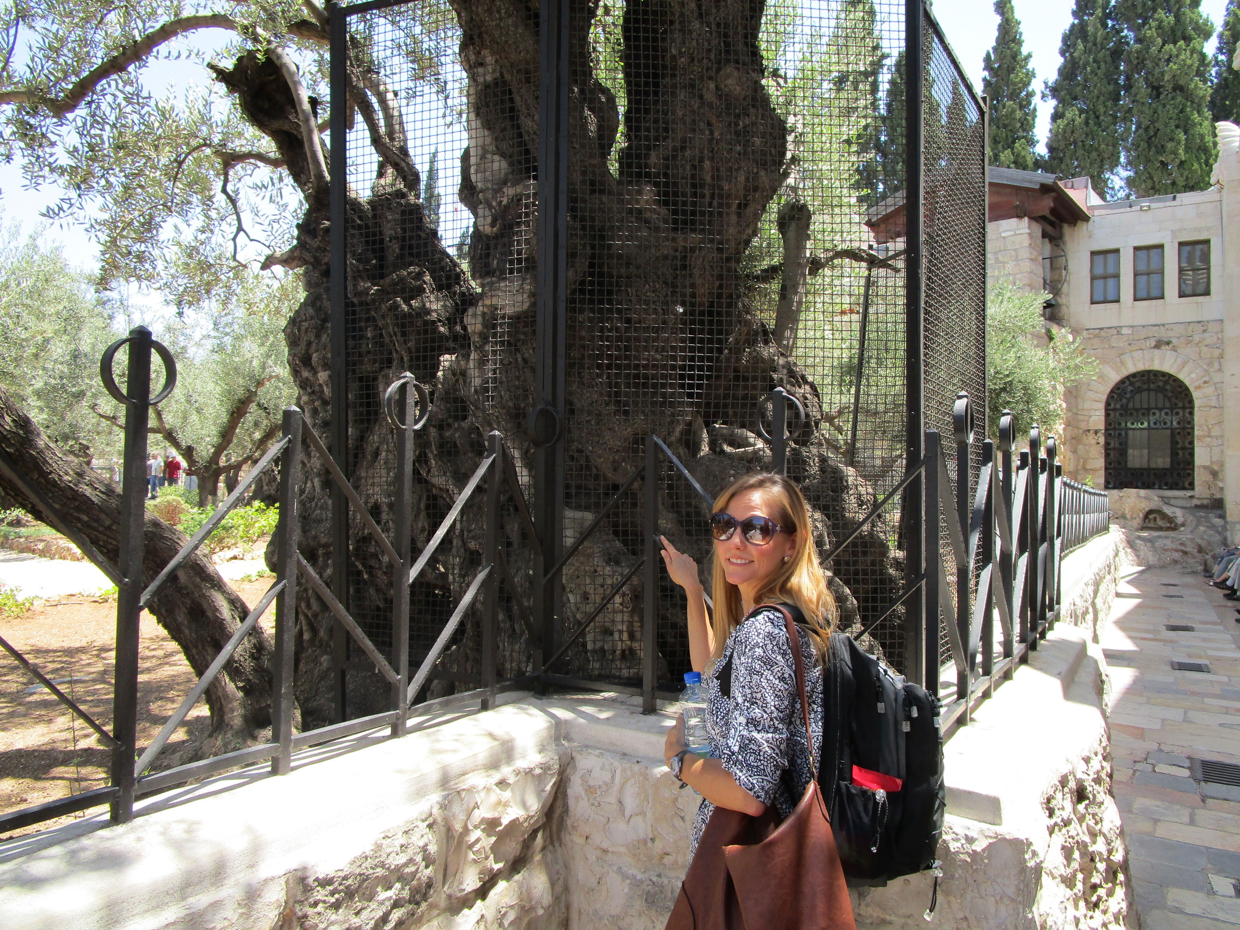  My love, Loretta, standing near the garden. This olive tree is estimated to be nearly 5-6,000 years old. We know with absolute certainty that this tree was there the night Jesus prayed, wept and was arrested. 
