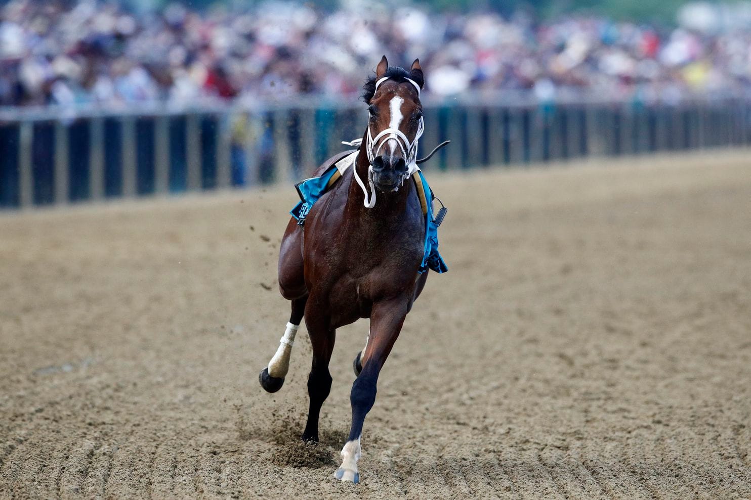 Patrick Semansky/AP Photo