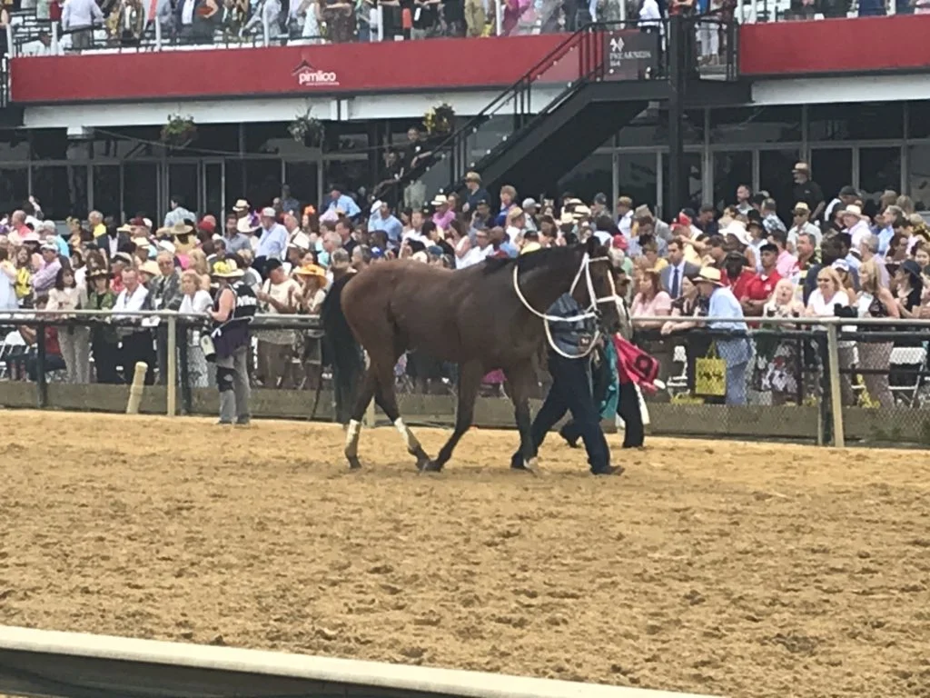 Bodexpress after making a run for it.