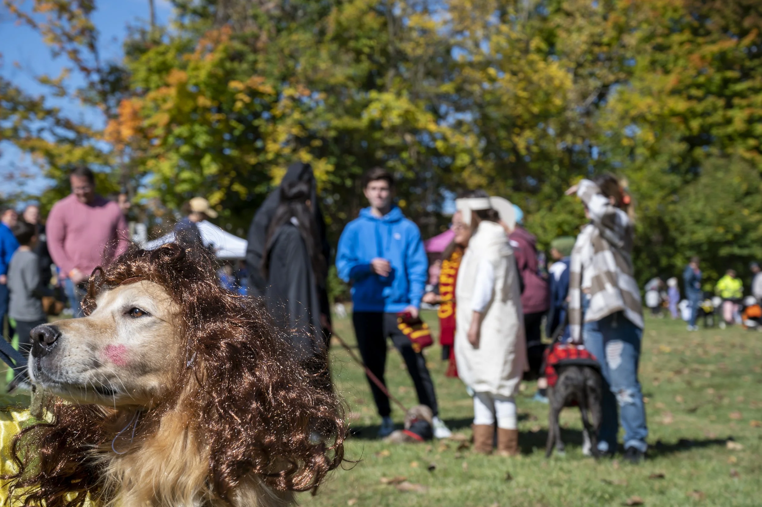 Barktoberfest_2022-71.jpg