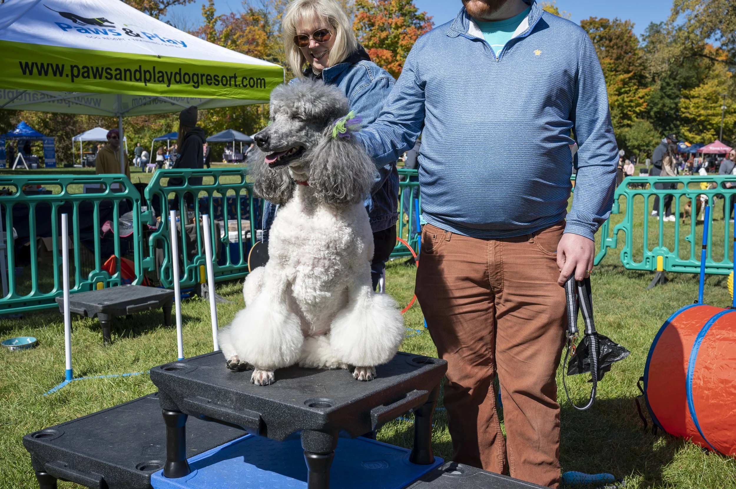 Barktoberfest_2022-24.jpg