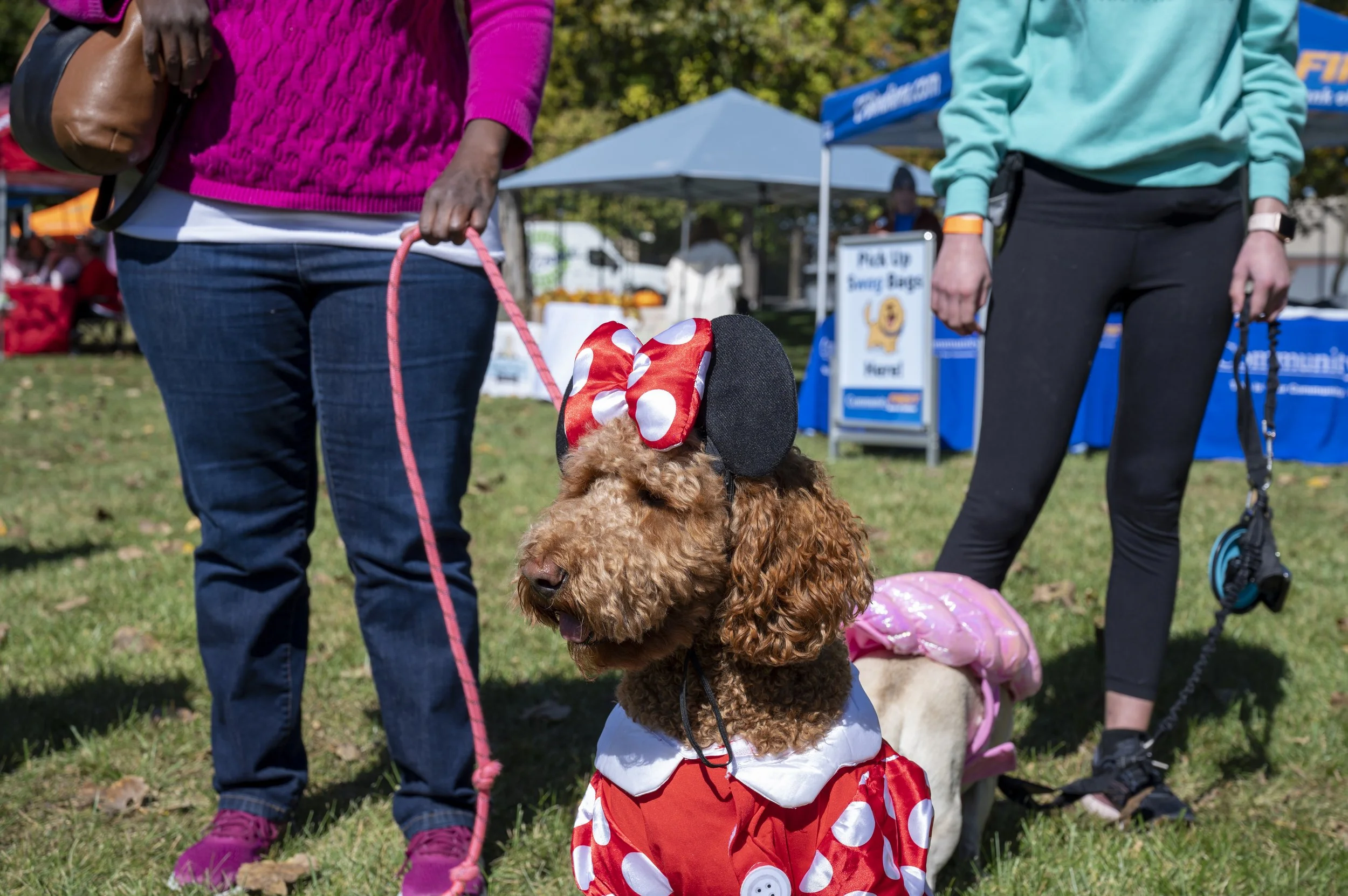Barktoberfest_2022-48.jpg
