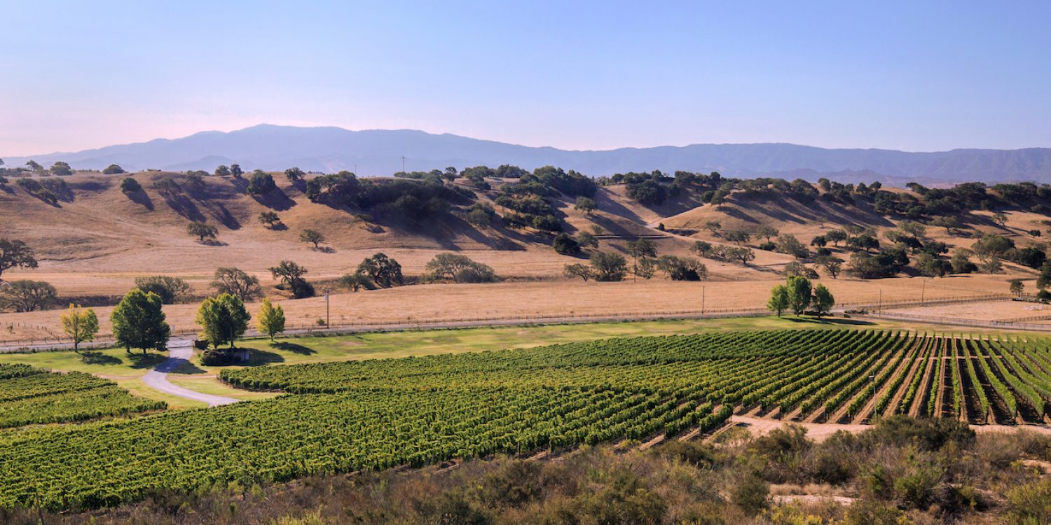 RALLY: Forget Napa: Head to Santa Barbara Wine Country for Your Next Wine Tasting Trip