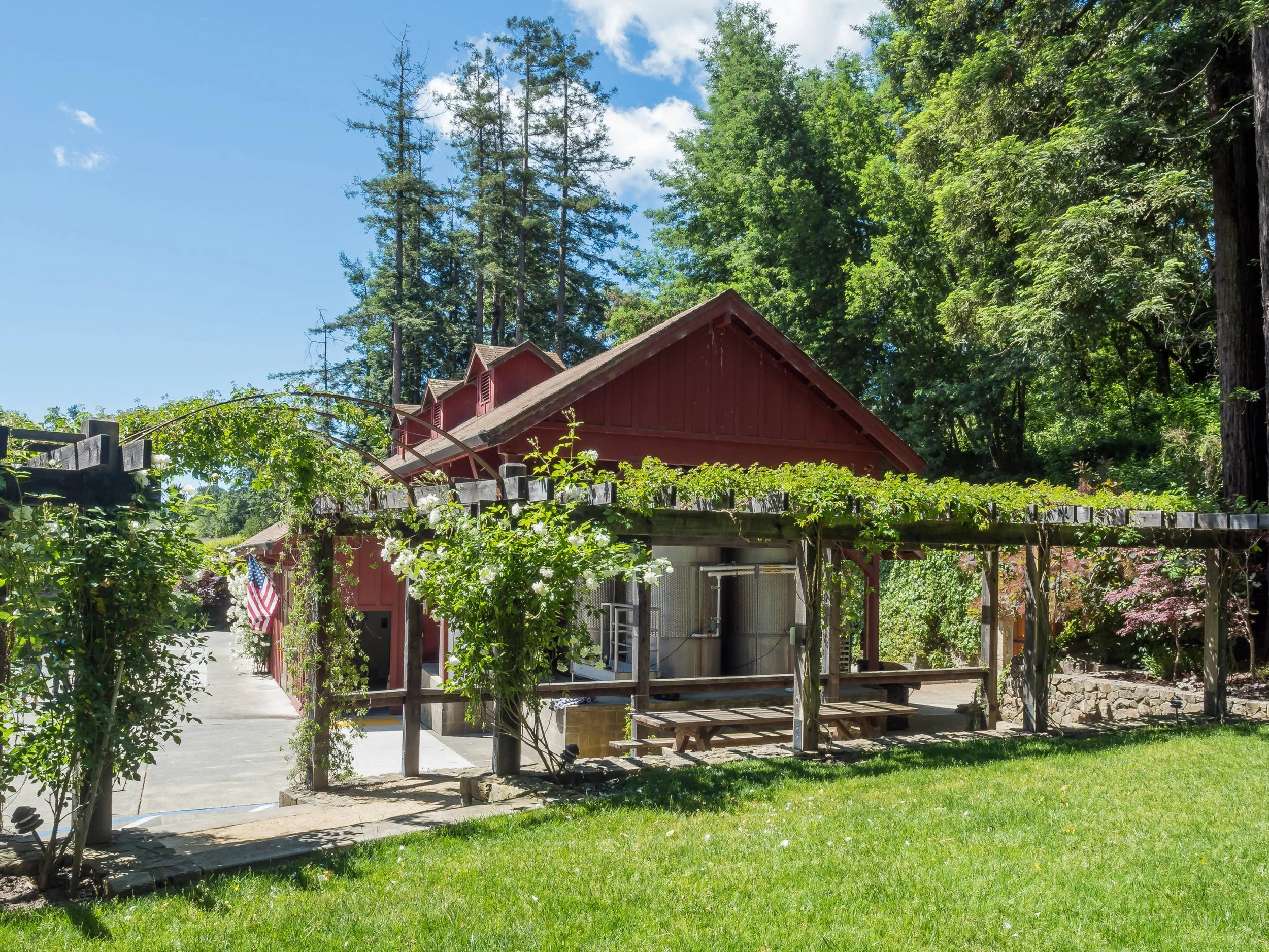 Freeman Winery Picnic Views.jpeg
