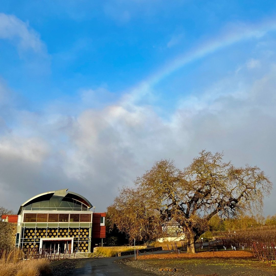 Today, we toast to the remarkable journey of Williams Selyem Winery, nestled in the heart of Healdsburg's Russian River Valley. 

🍇 From humble beginnings as weekend hobbyists to becoming icons of American Pinot Noir, Williams Selyem exemplifies how