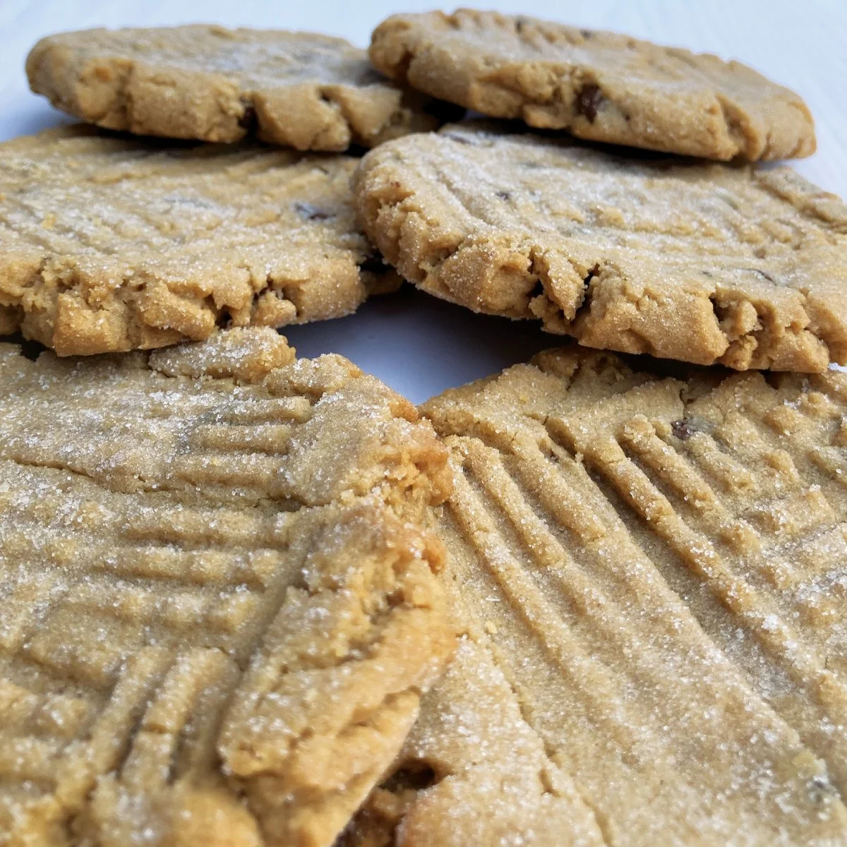 Gourmet Peanut Butter Chocolate Chip Cookies from the Gingerbread Factory