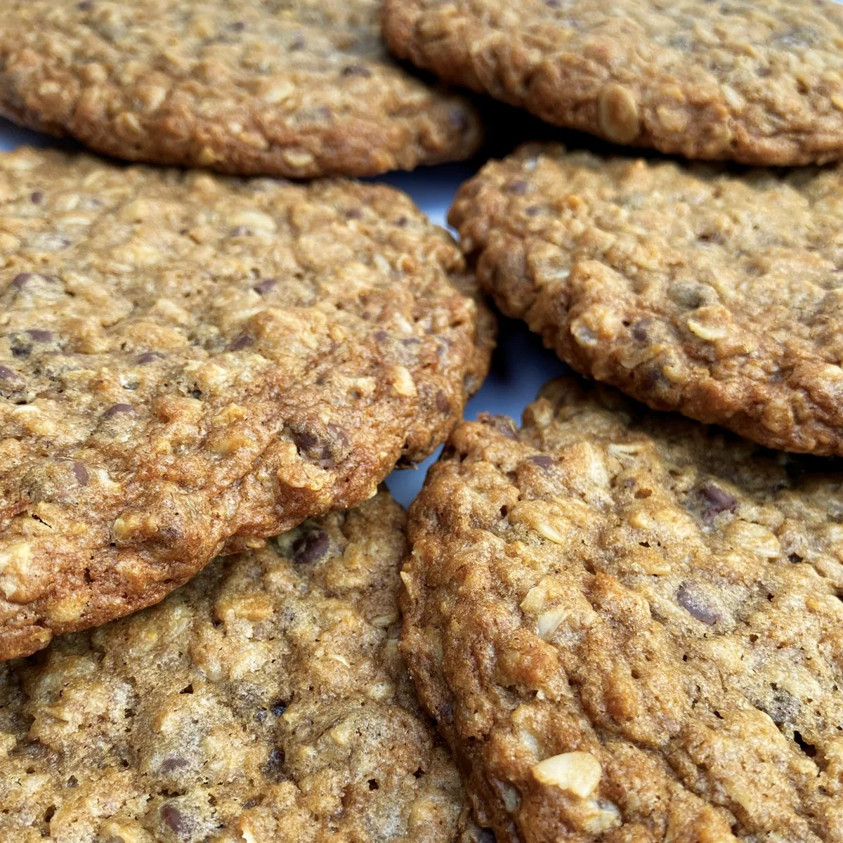Oatmeal Cookies with Chocolate Chips from GBF