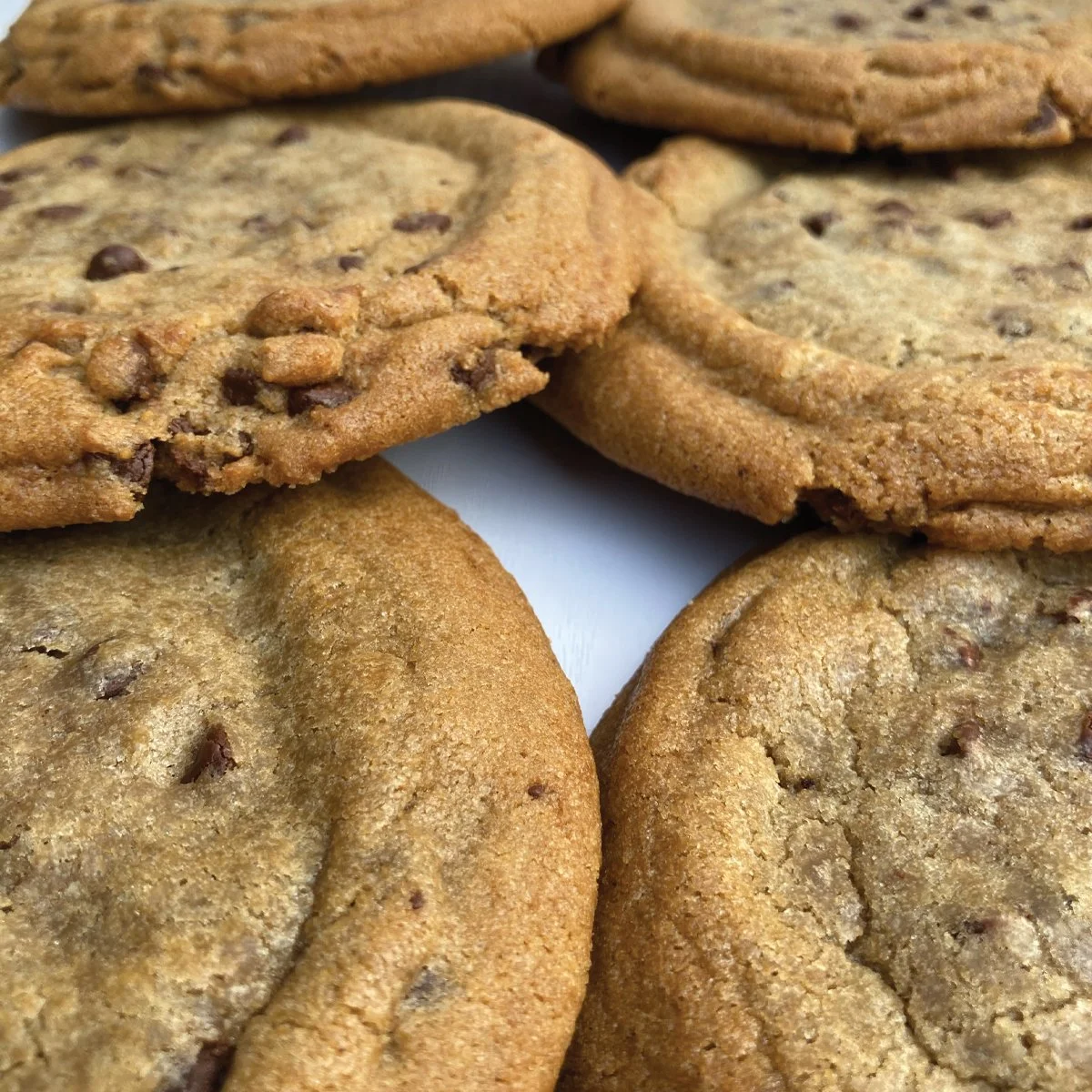 Gourmet Chocolate Chip Cookies from The Gingerbread Factory