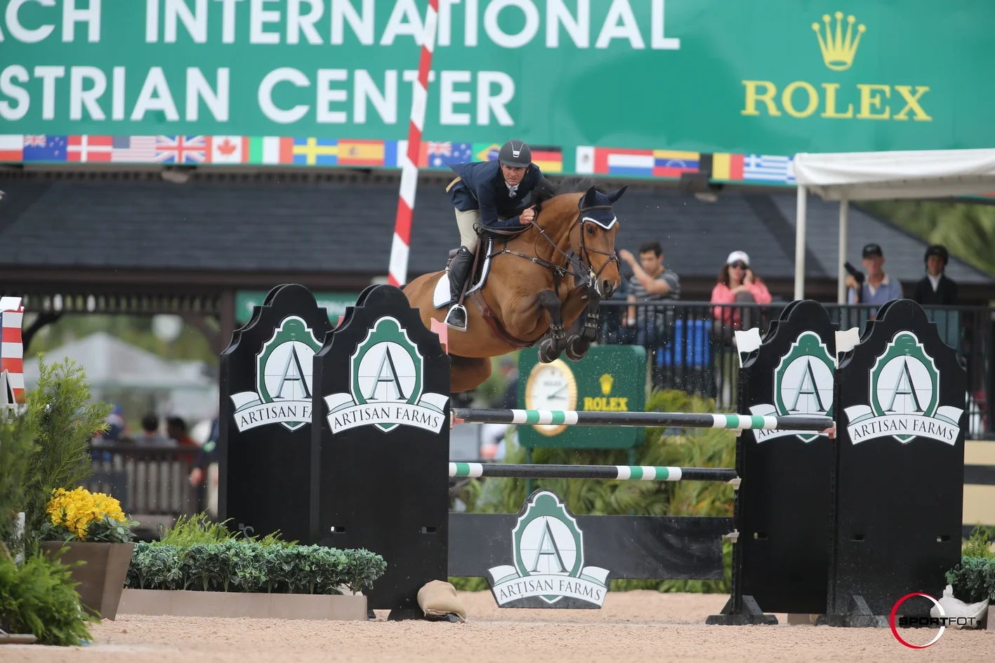 Cupina Colada (Numero Uno x Calvados)