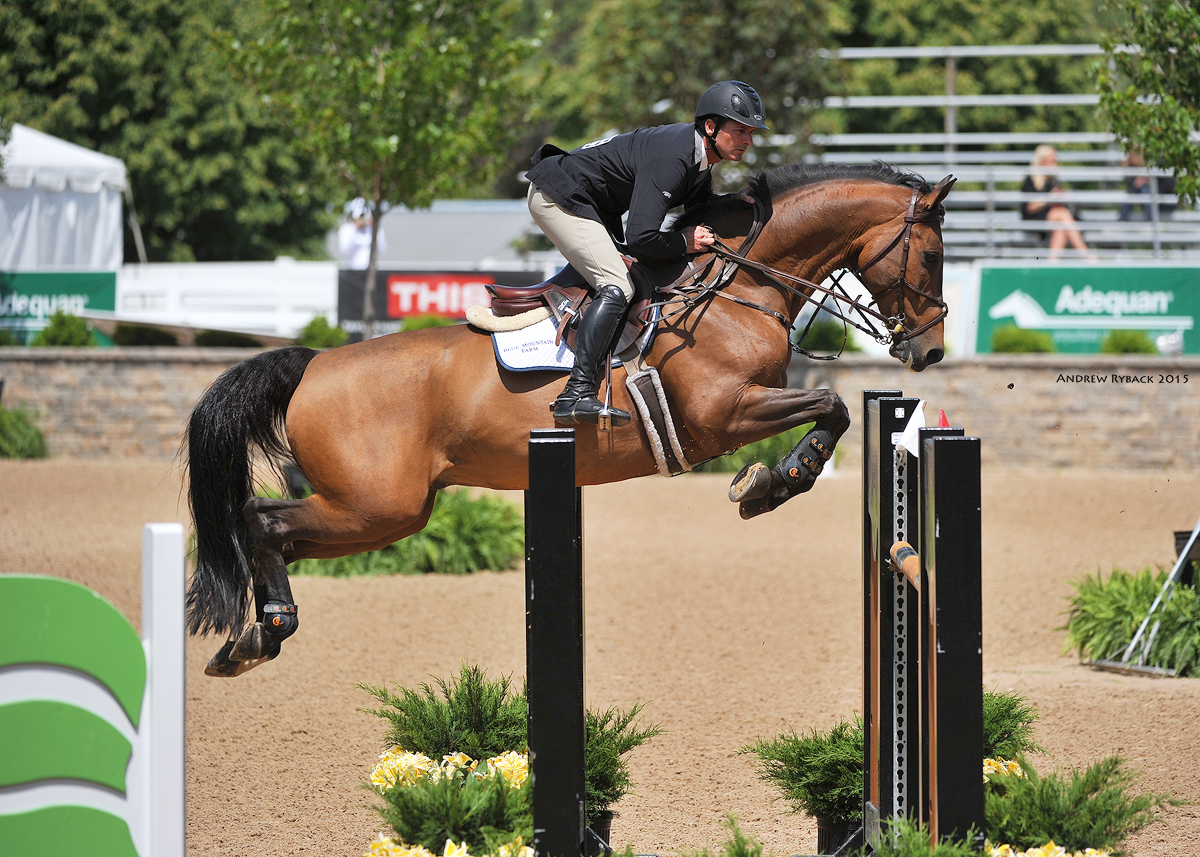 Compis (Camaro M x Irco Marco)