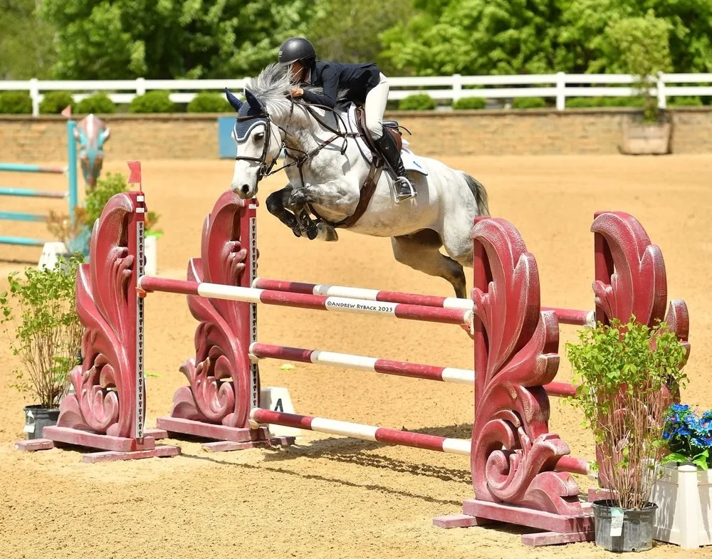 Gallery — Blue Mountain Farm