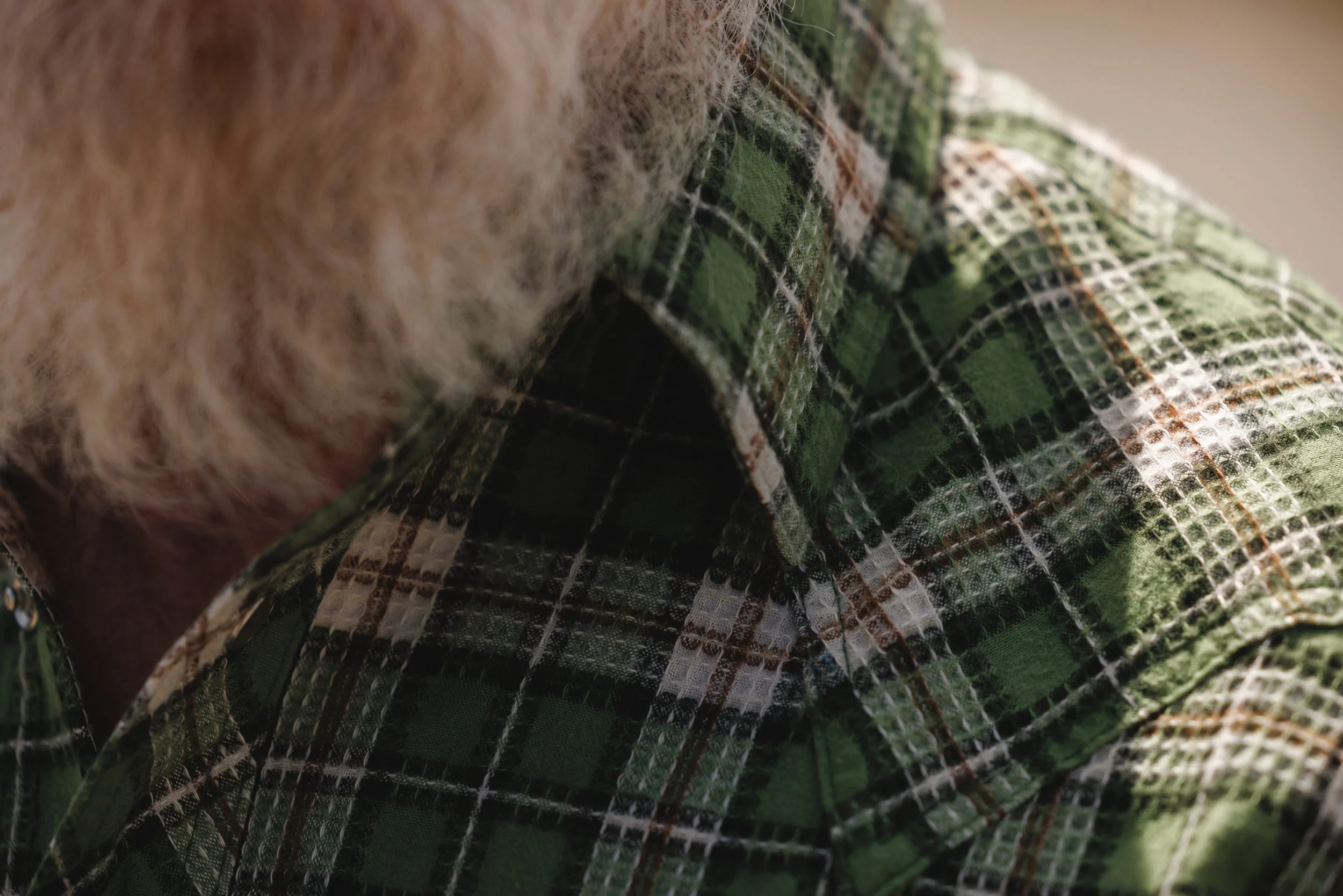 Black Bear Brand EVERGREEN Plaid P-Snap Shirt