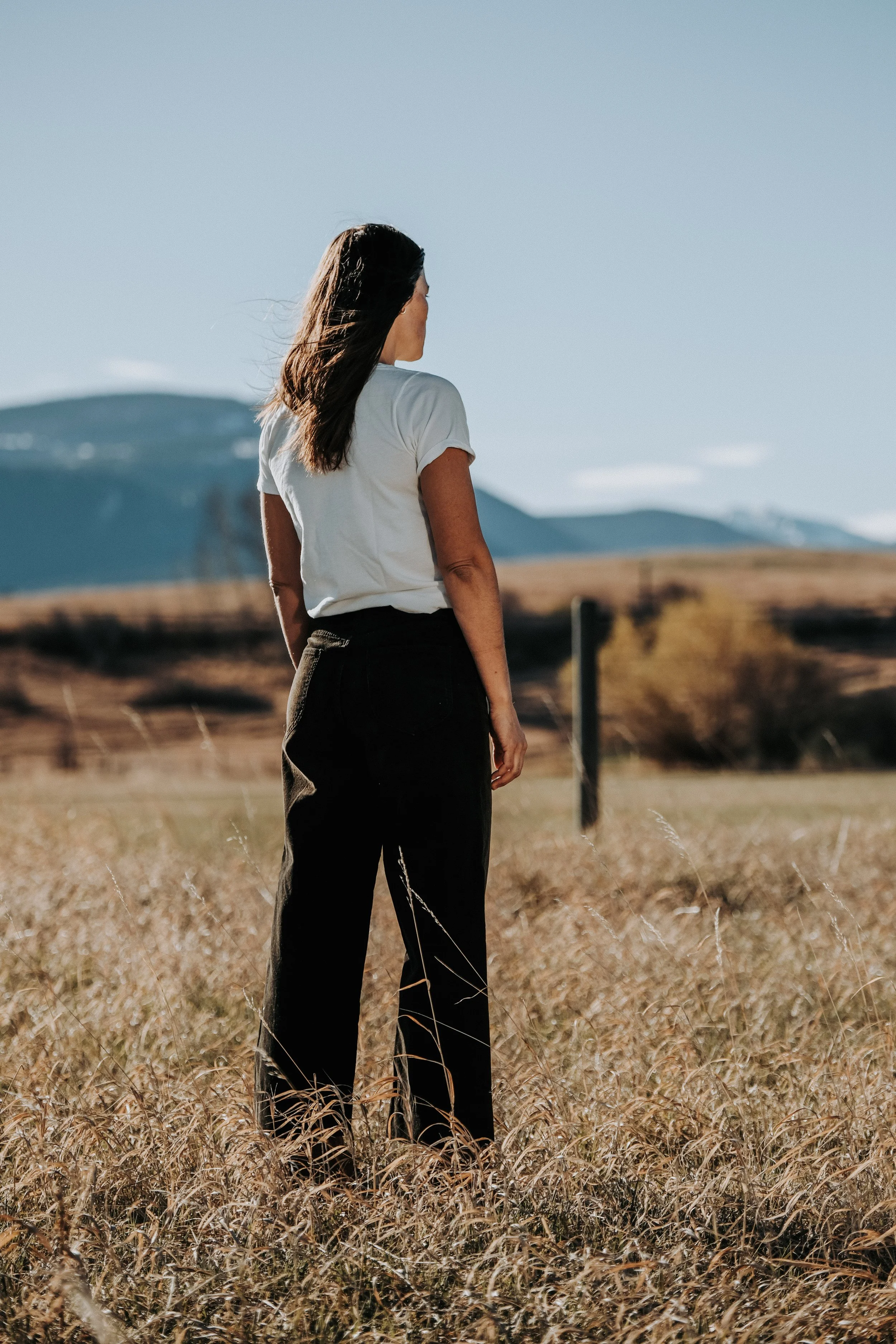 Black Bear Brand WOMAN, The Ultimate Soft Tee