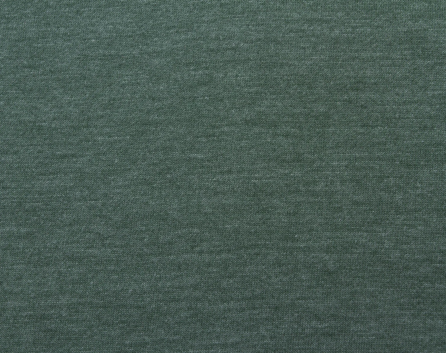 Black-Bear-Brand-Essential-Logo-Green-005.jpg
