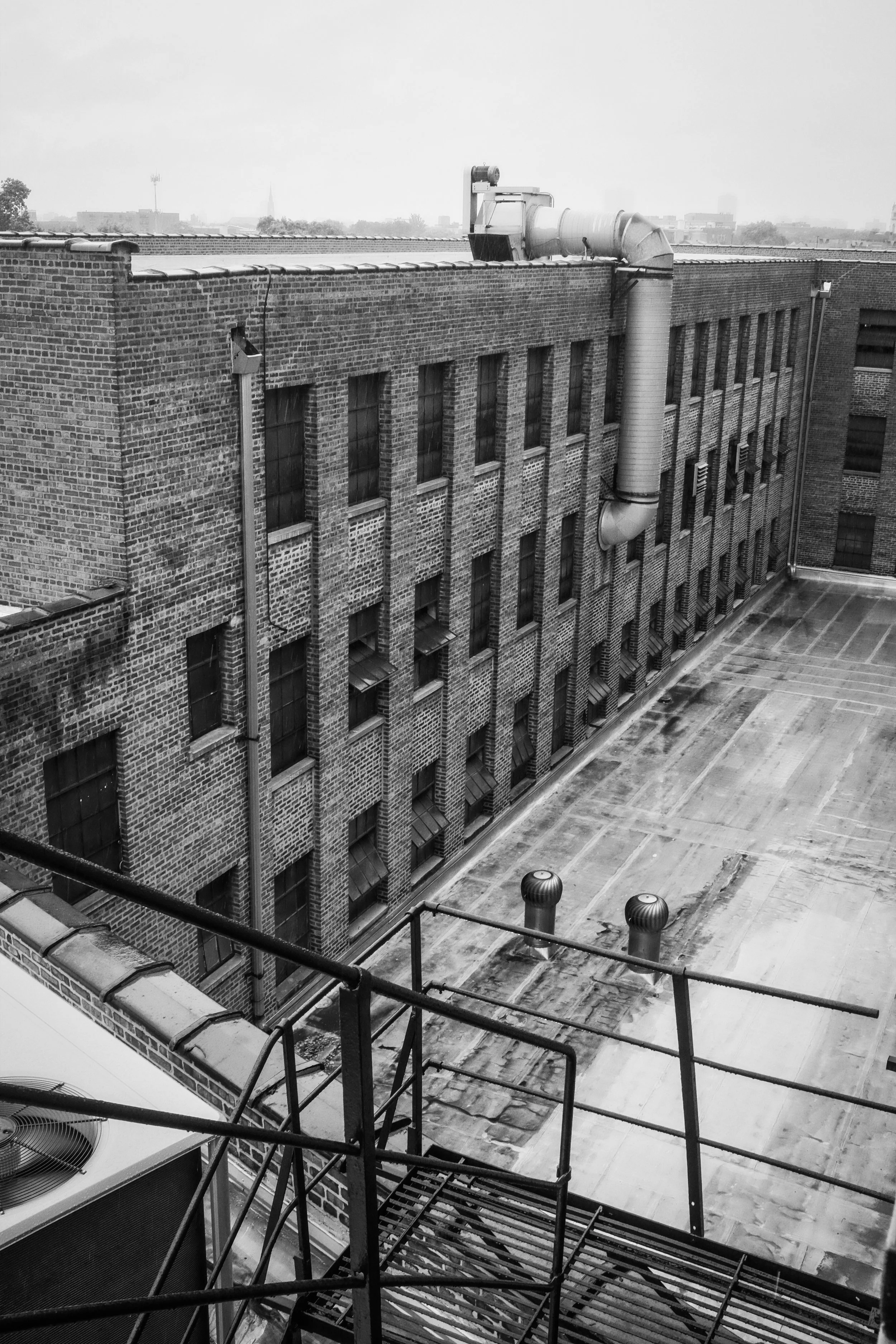Black Bear Brand at the Horween Tannery